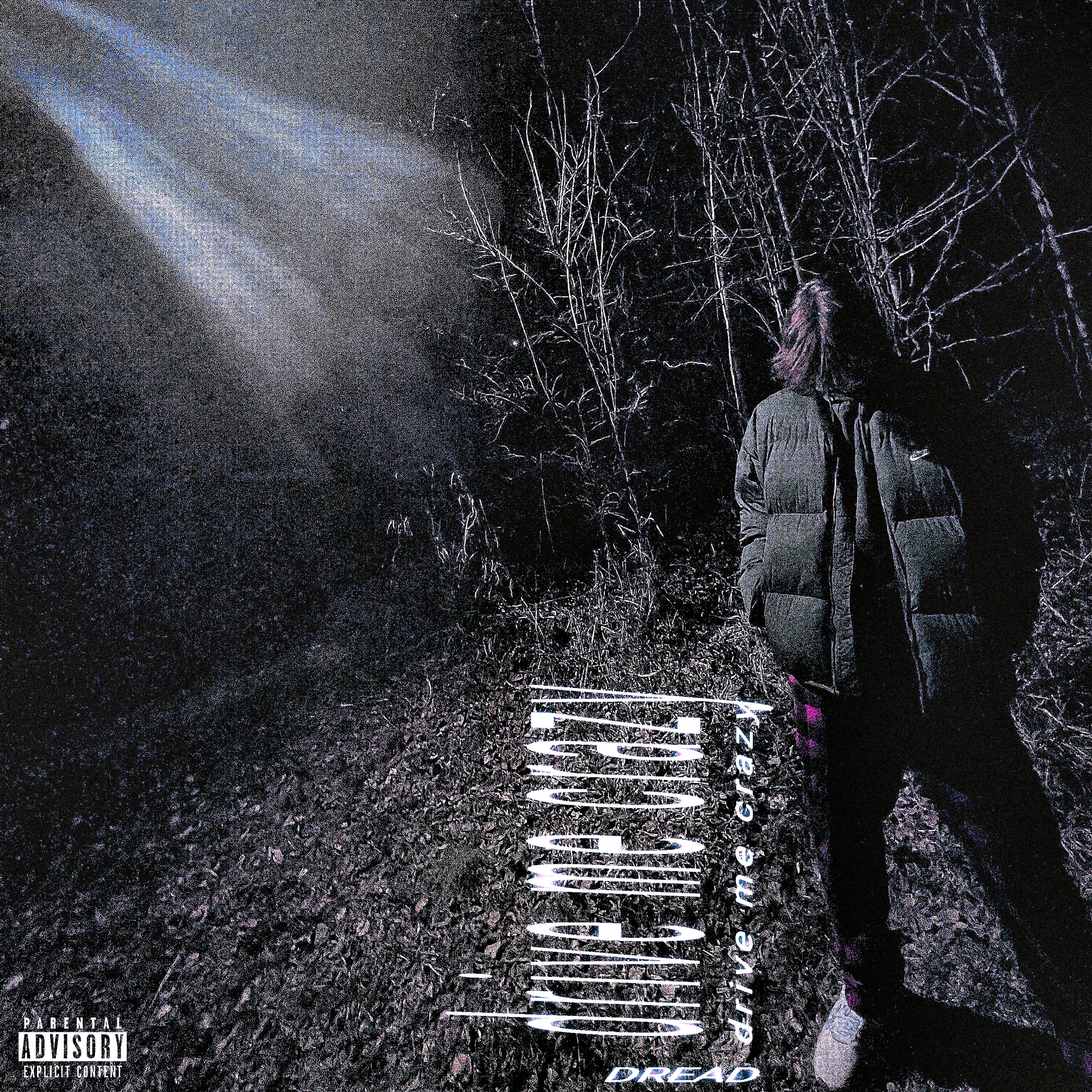 drive me crazy artwork