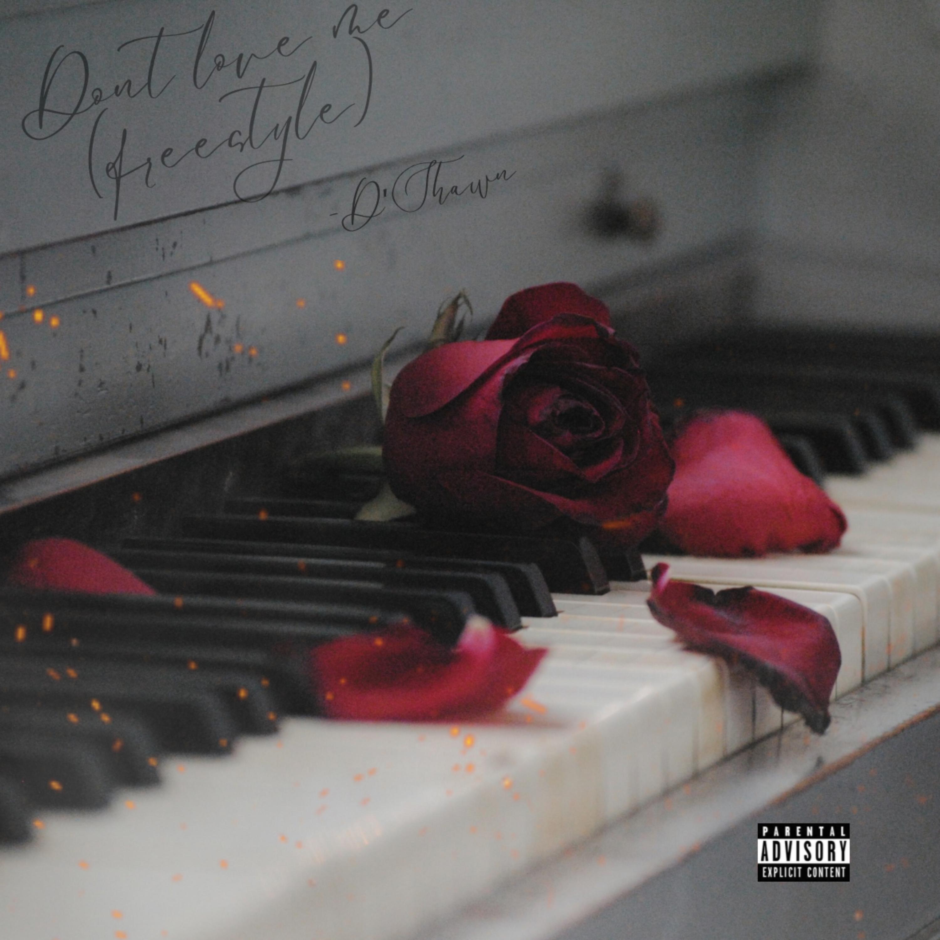 Don’t Love Me ( Freestyle) artwork