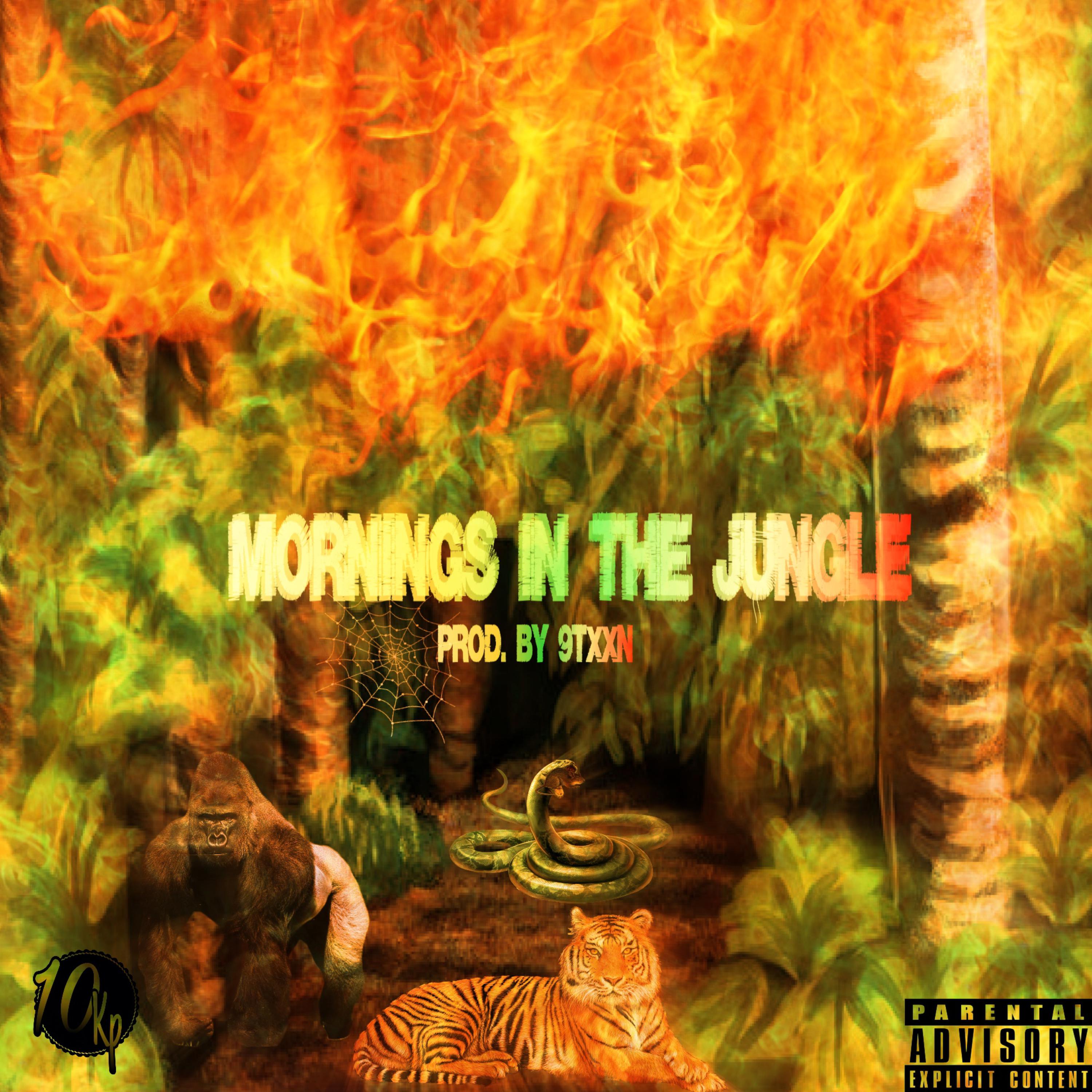 Mornings in the Jungle artwork