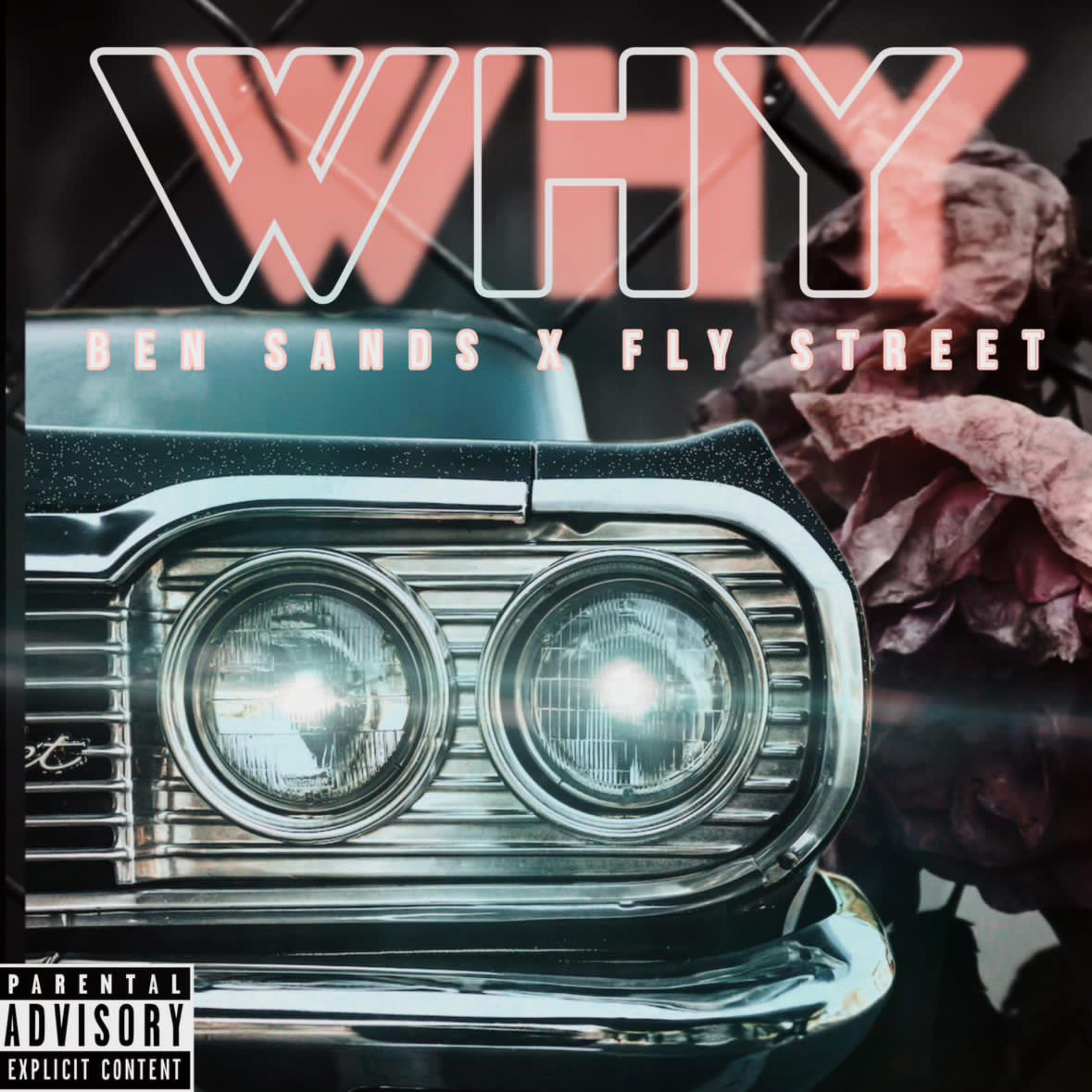 Why? artwork