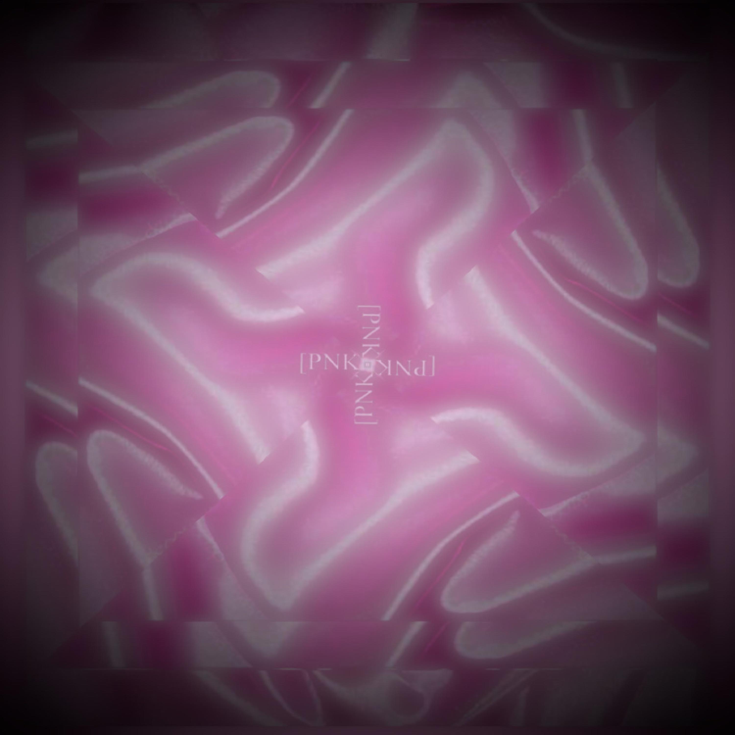 PINK TAPE ( DELUX PLUS ) artwork