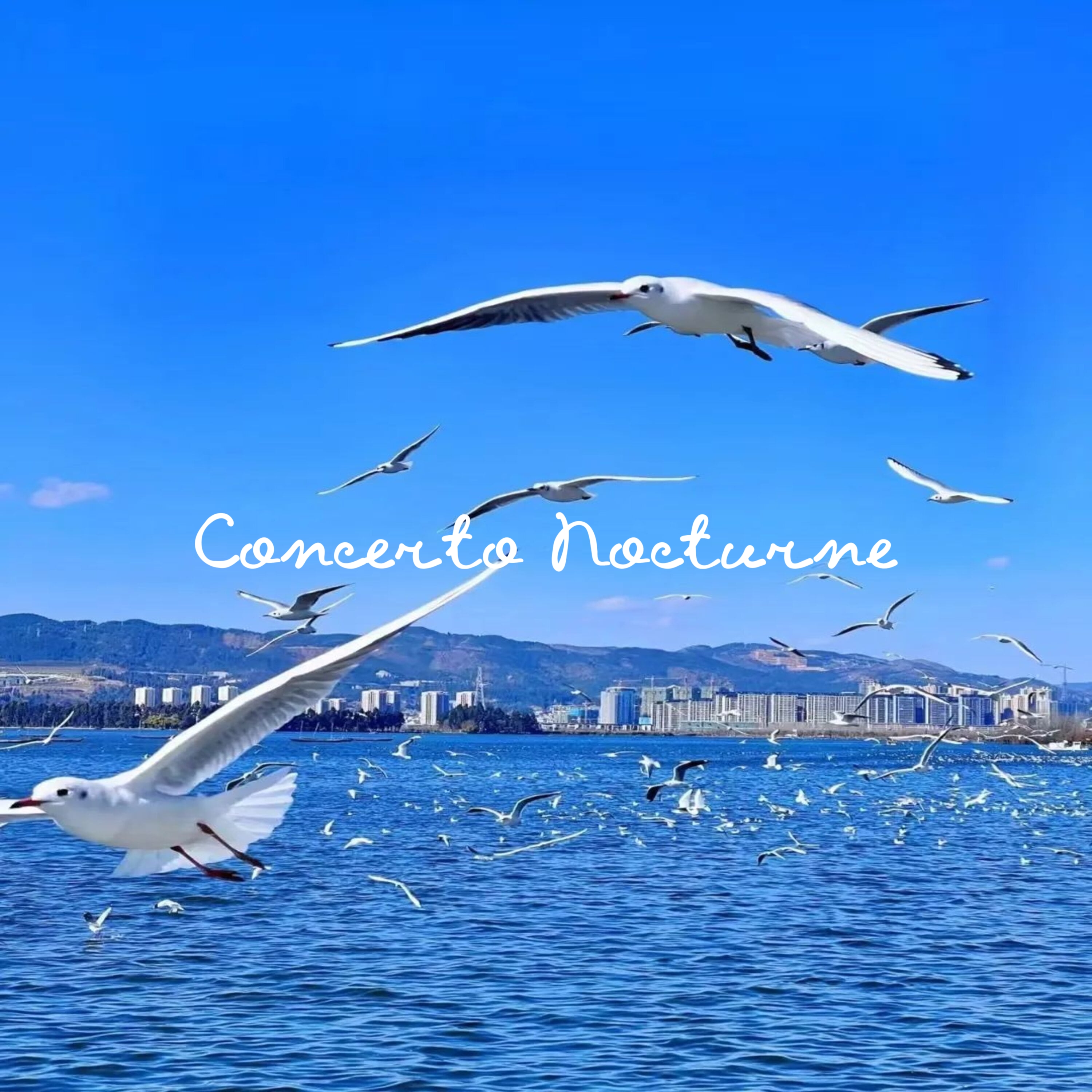 Concerto Nocturne artwork