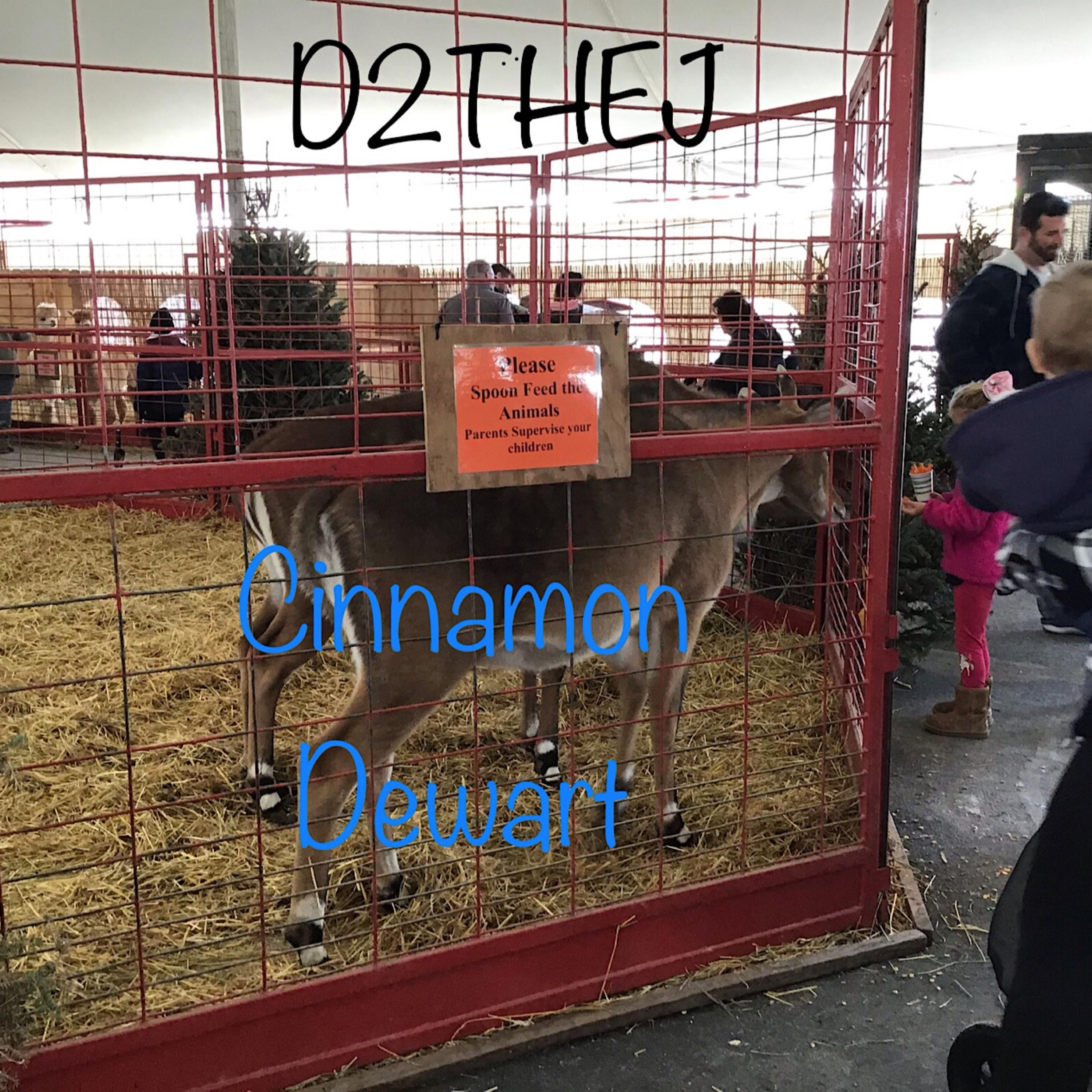 Cinnamon Dewart artwork