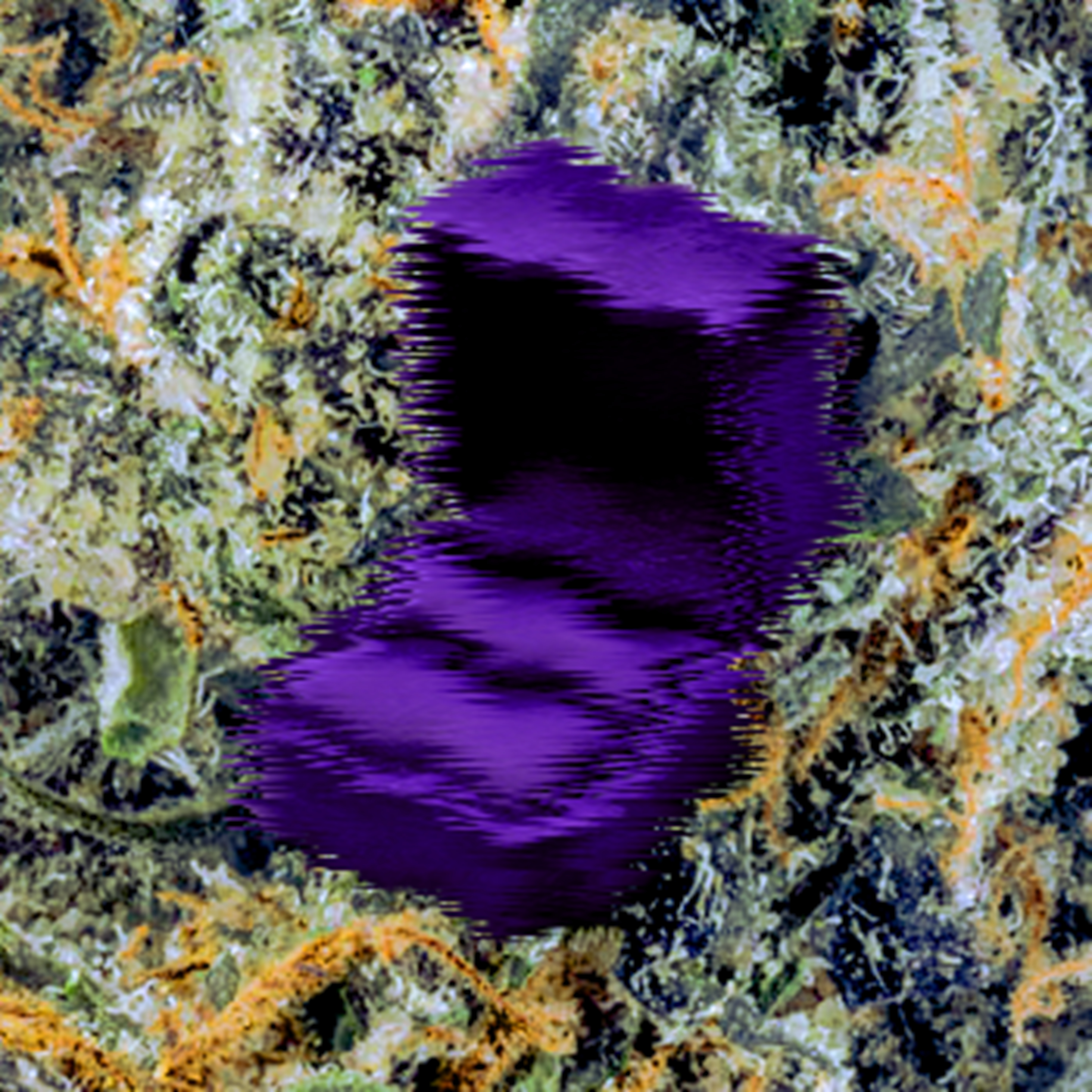 UDntKnwMe artwork