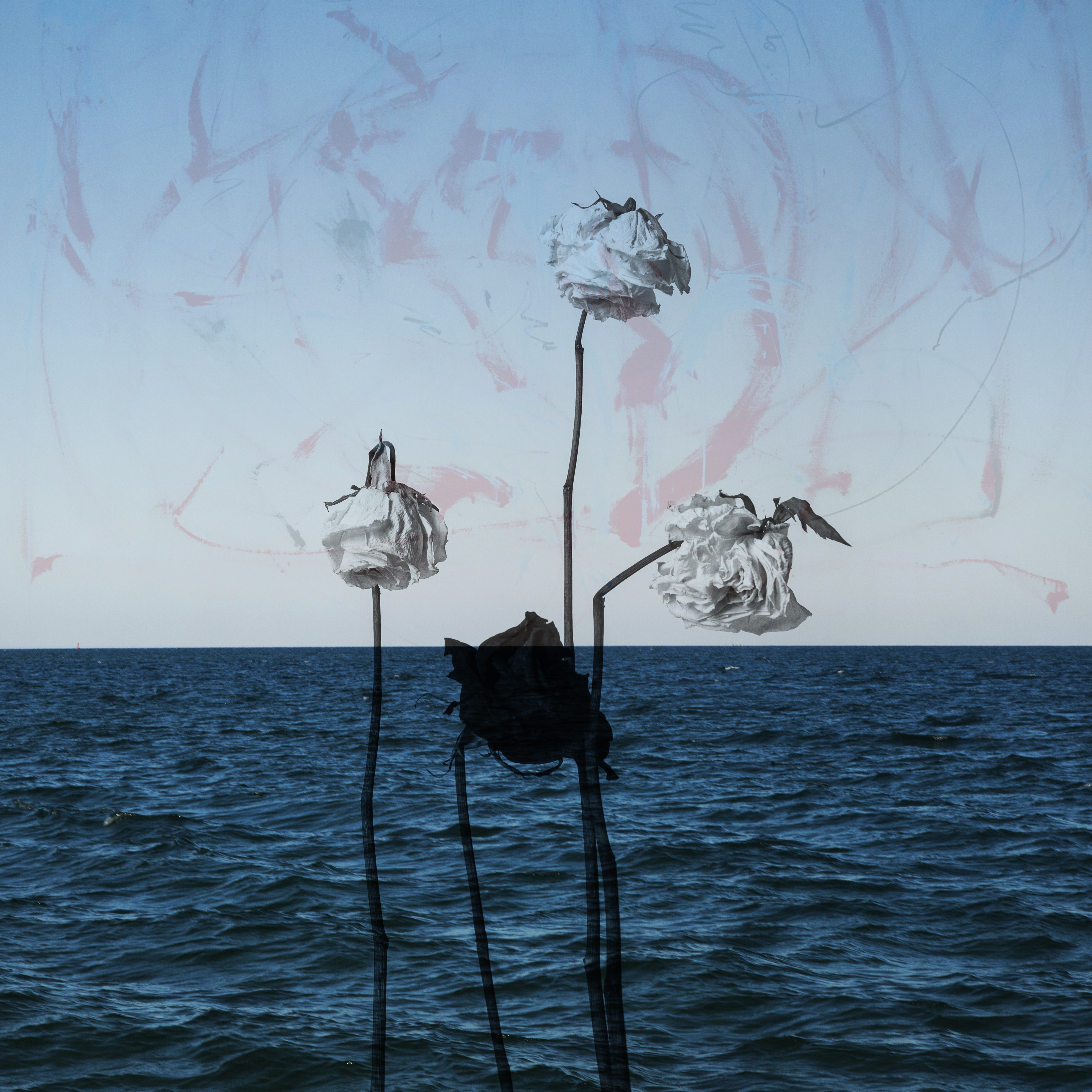 No Distance (sped up) artwork