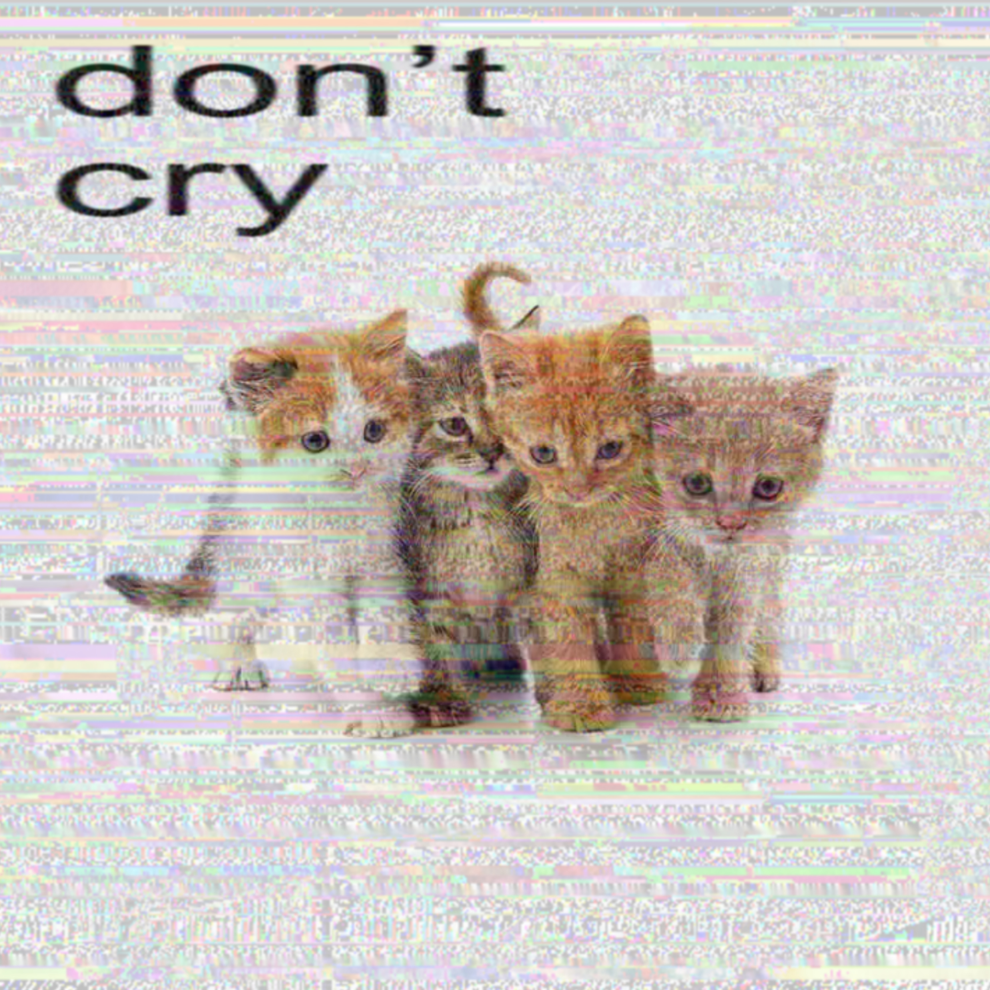don’t cry artwork