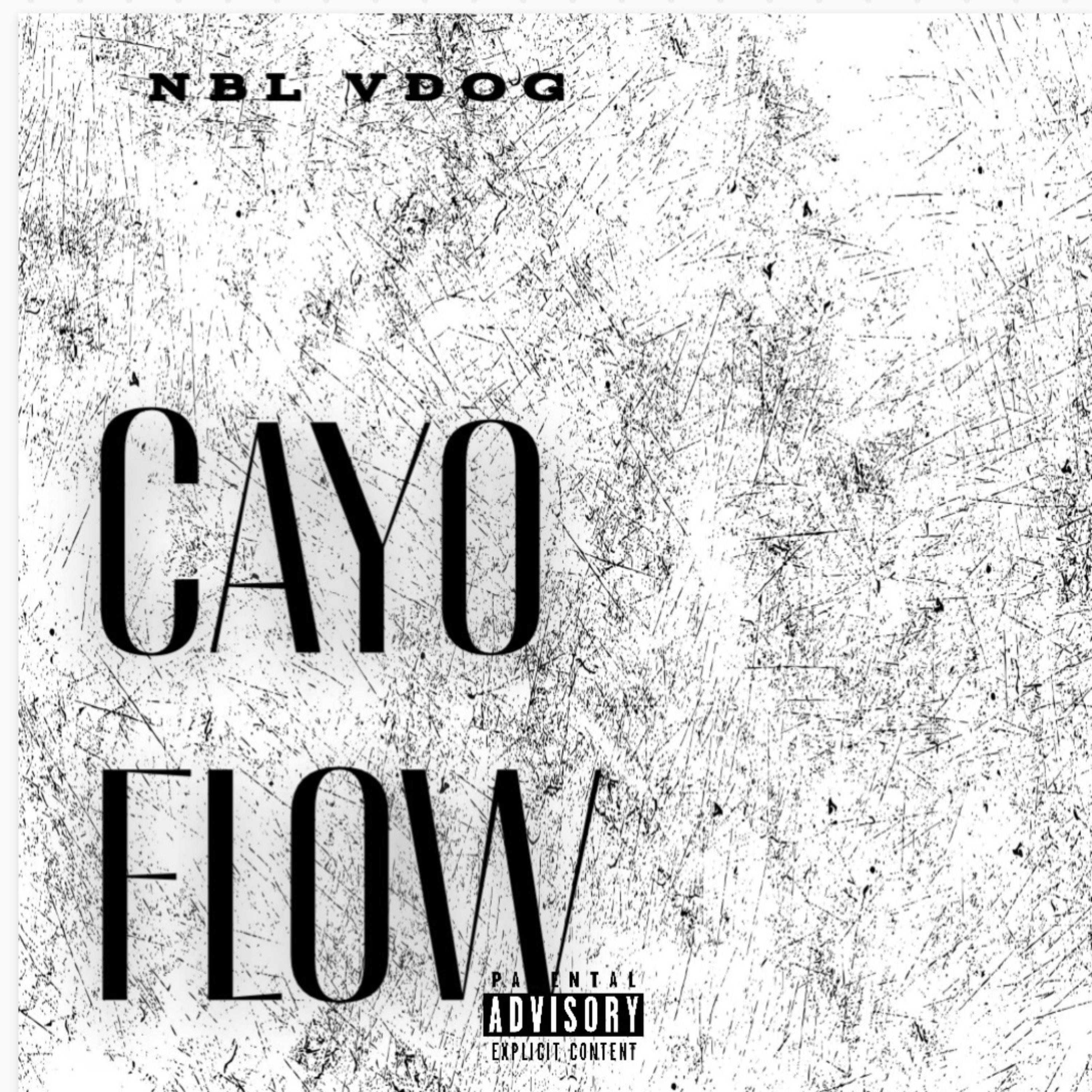Cayo Flow artwork