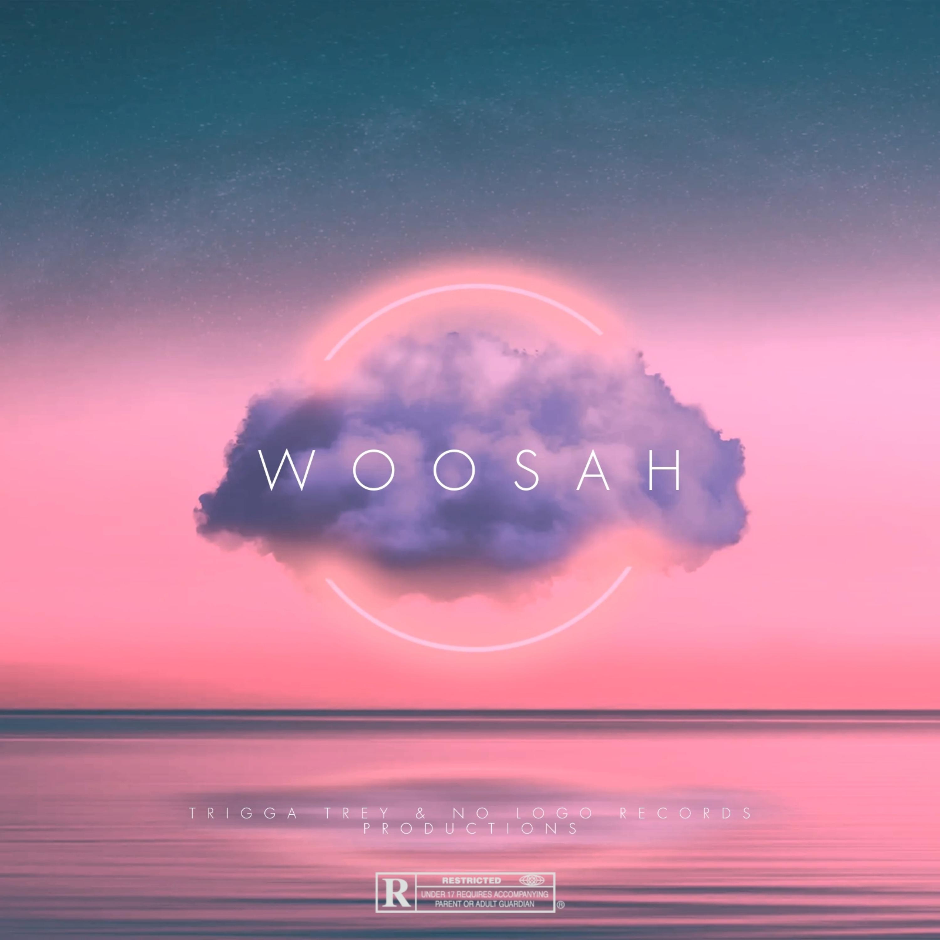 WOOSAH artwork