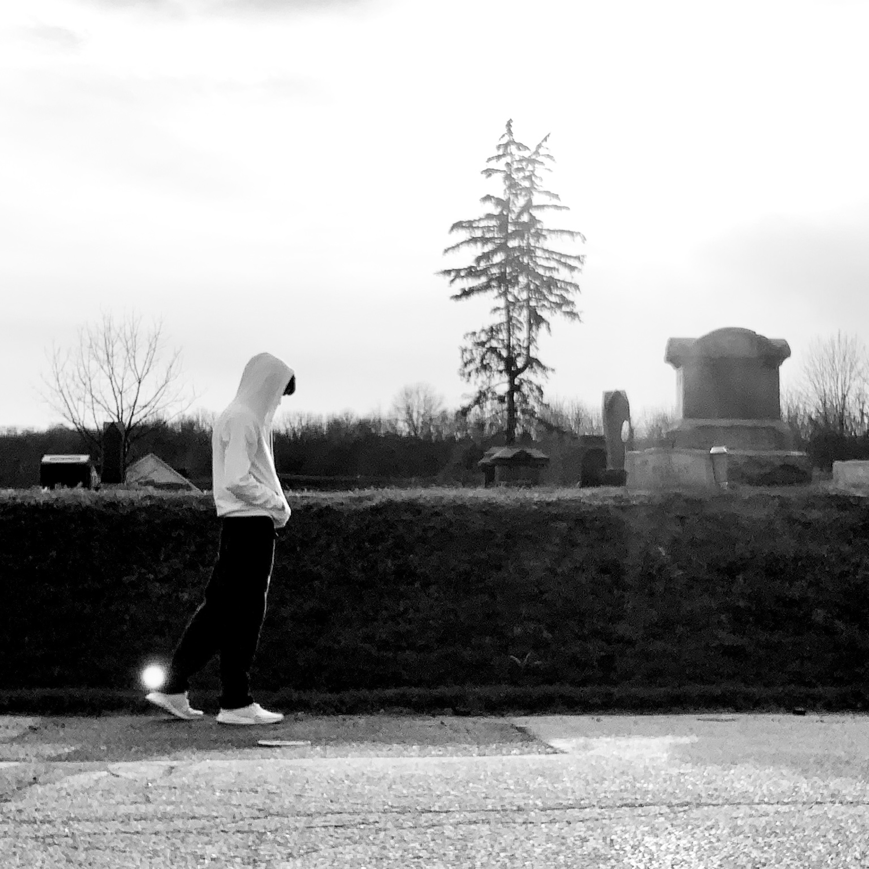 GONE, SLOWLY artwork