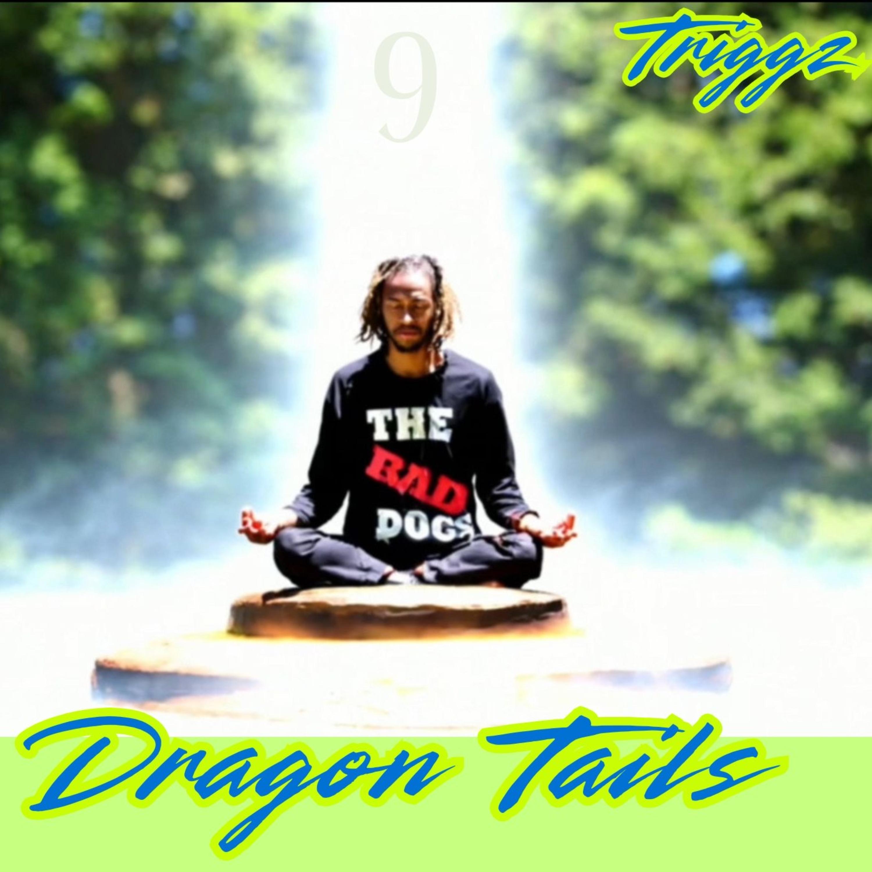 Dragon Tails by Triggz cover art