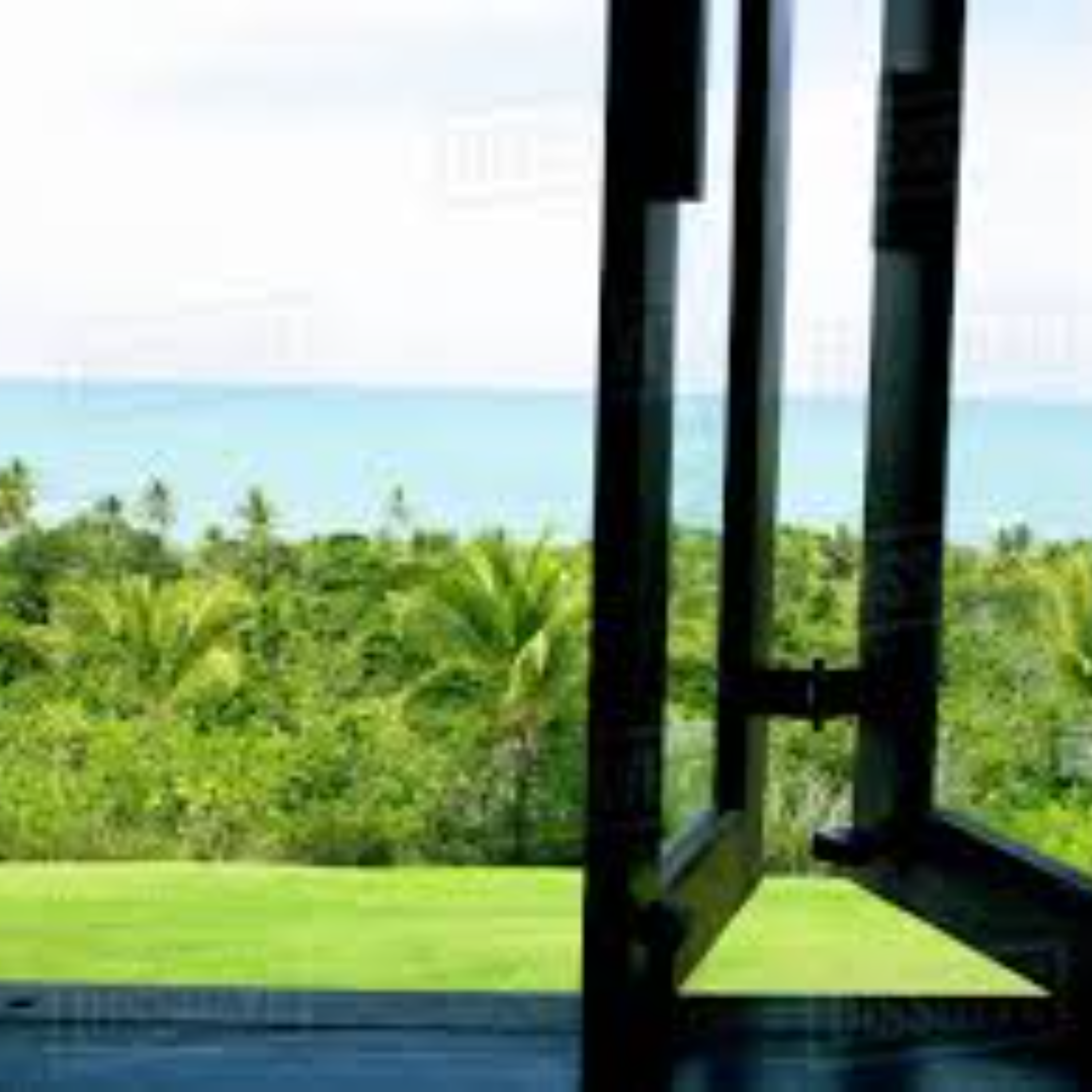 Window Glass Palm by INTENS cover art