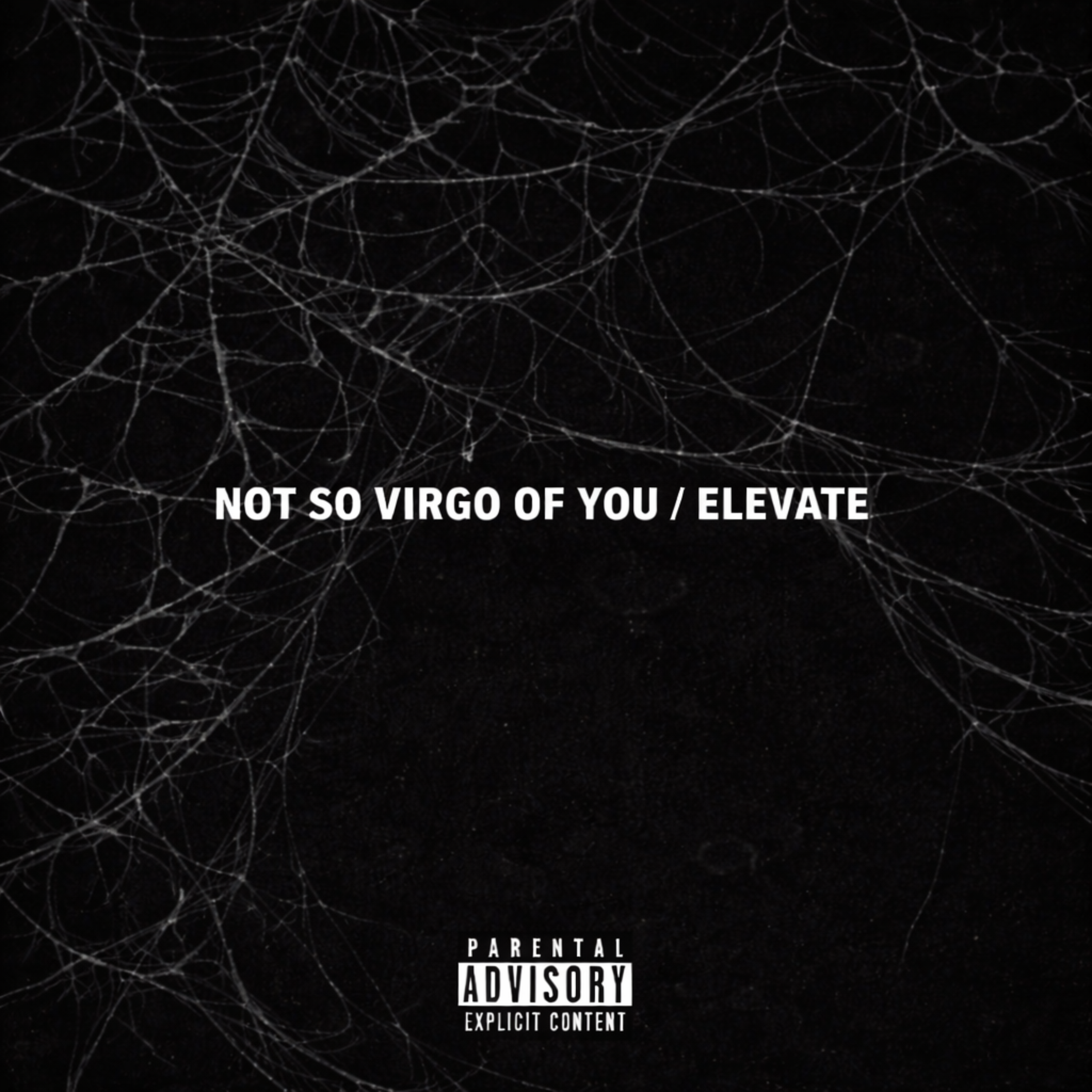 Not So Virgo Of You / Elevate artwork