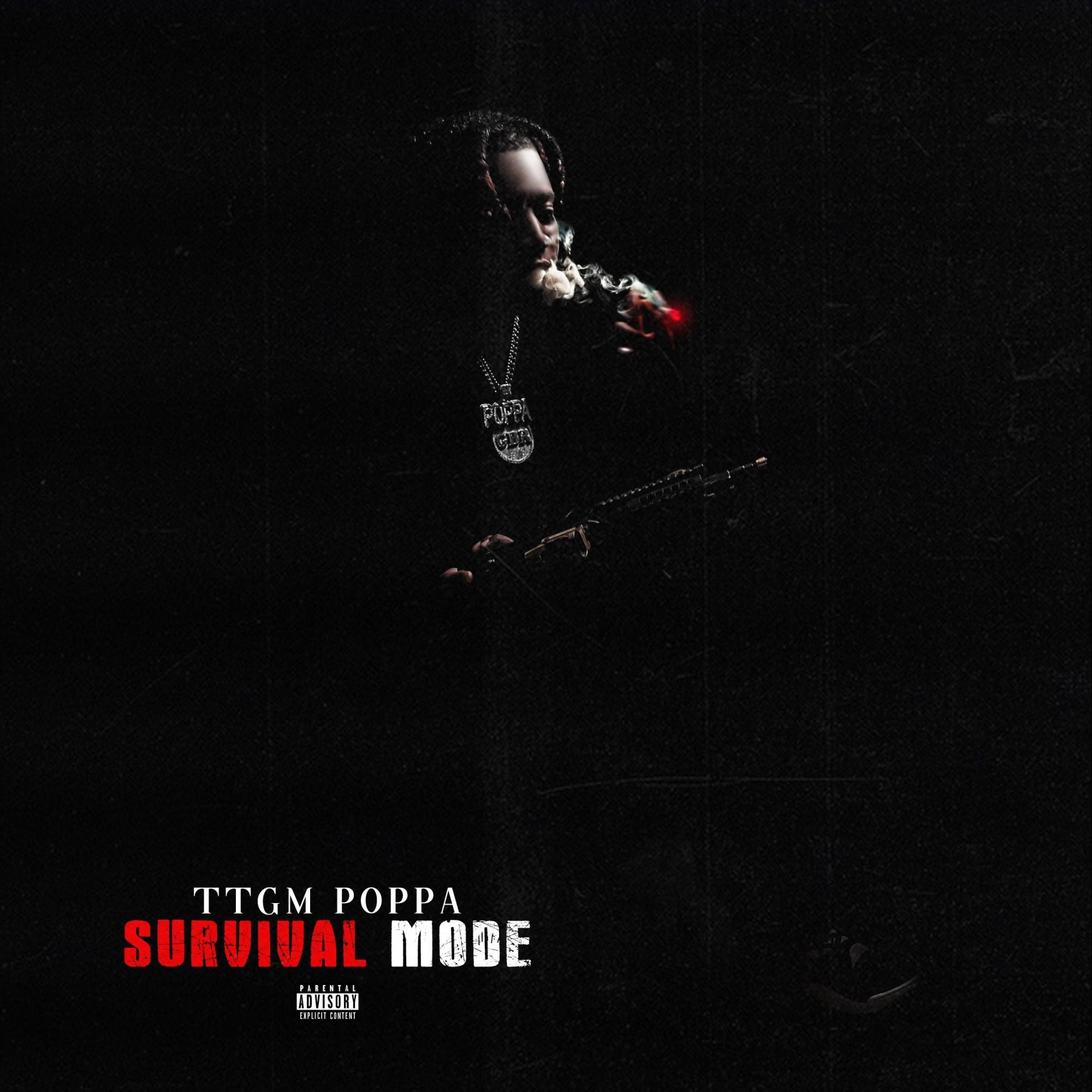 SURVIVAL MODE artwork