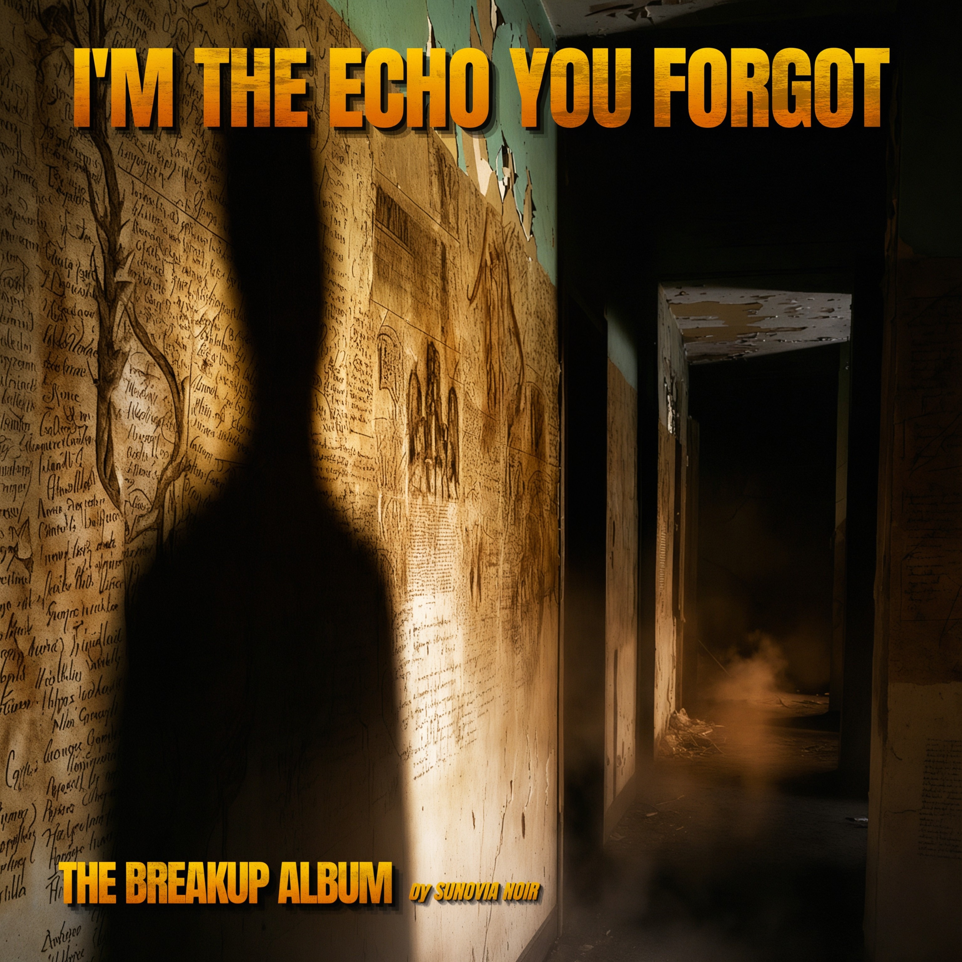 I'm the Echo You Forgot artwork