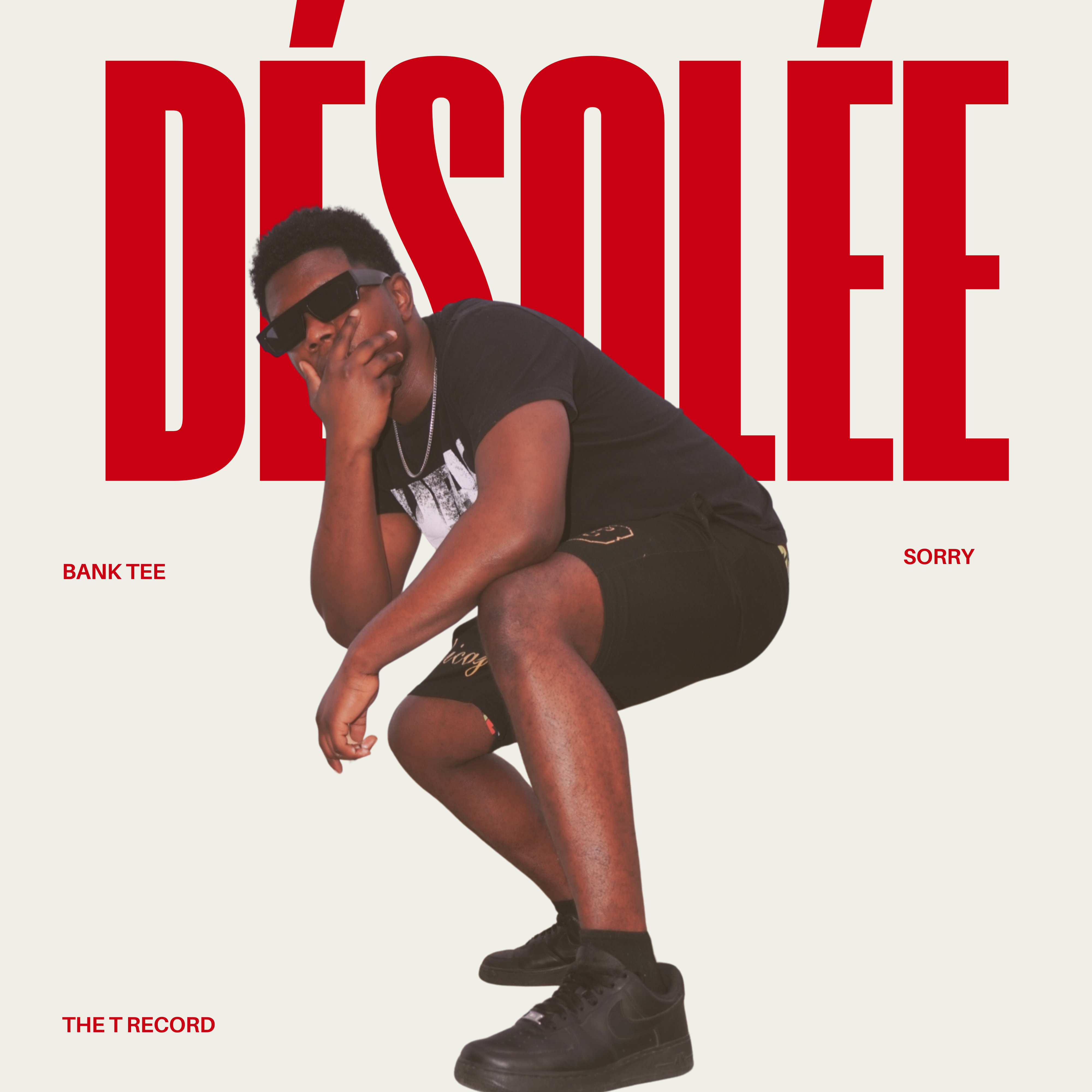désolé artwork