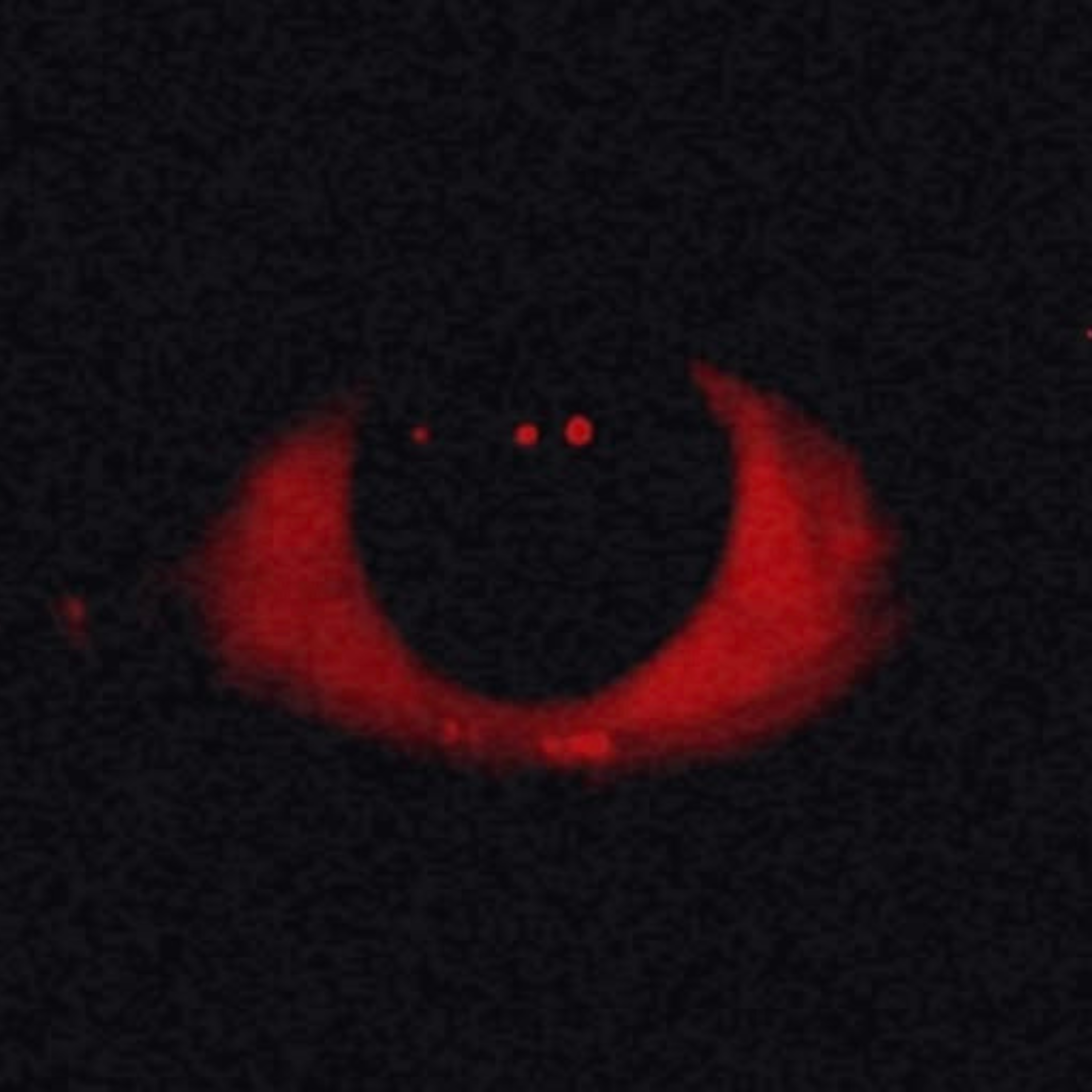 Paranoid (Remastered) by Hachi’s Diary cover art