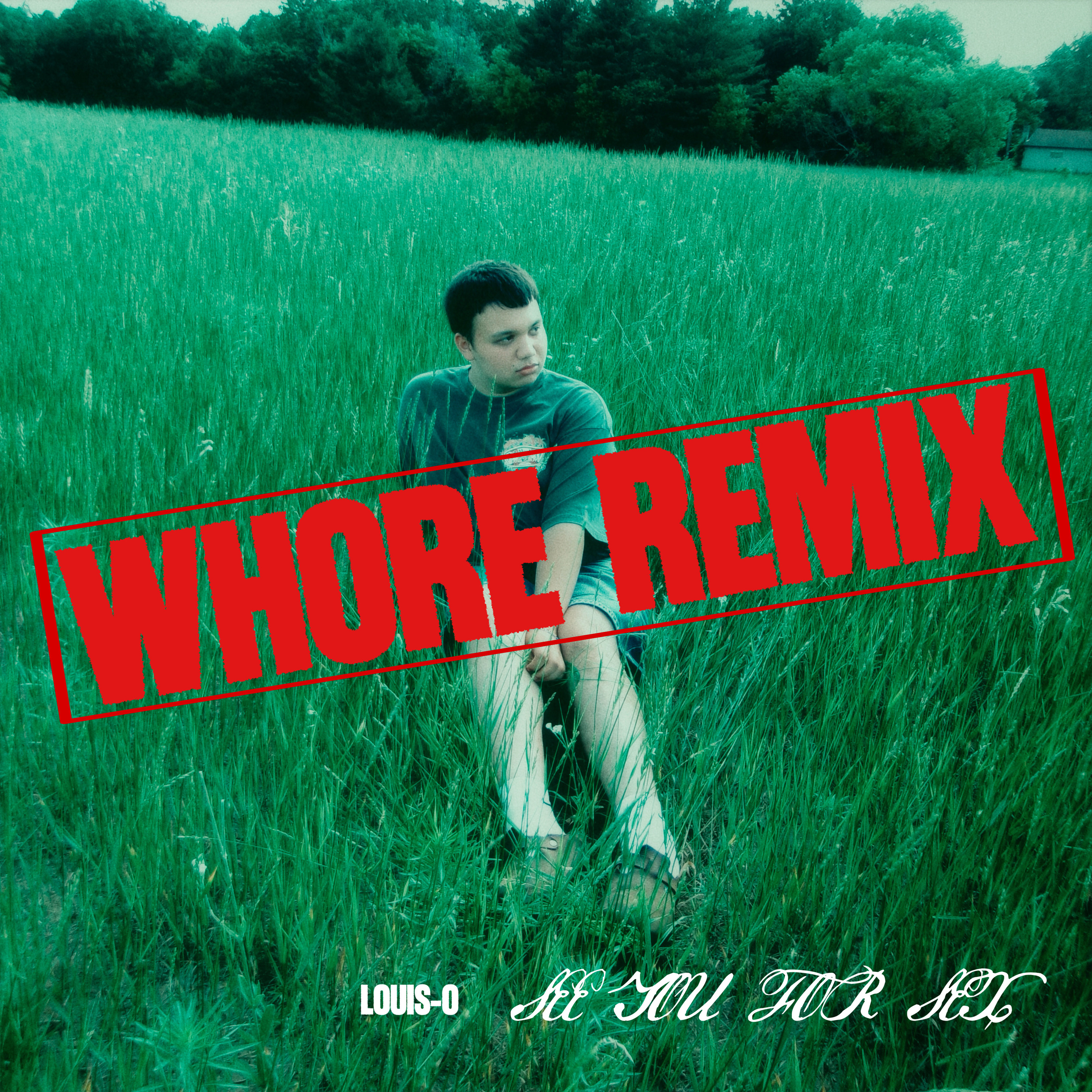 see you for sex (Whore Remix) artwork
