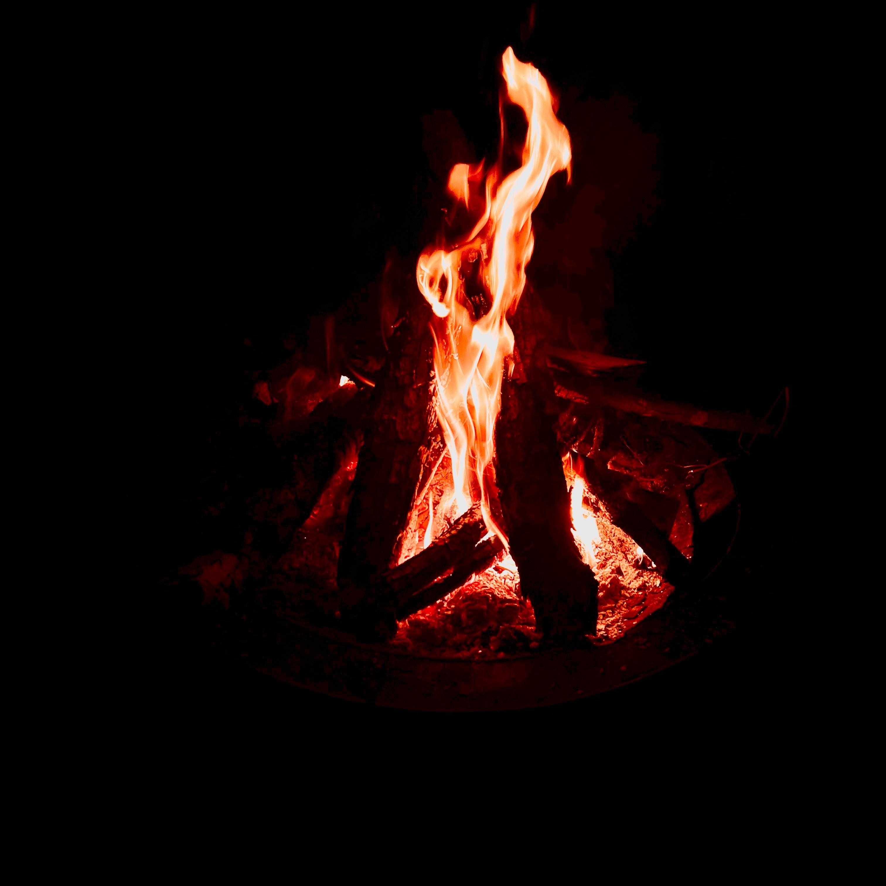 Waste My Time artwork