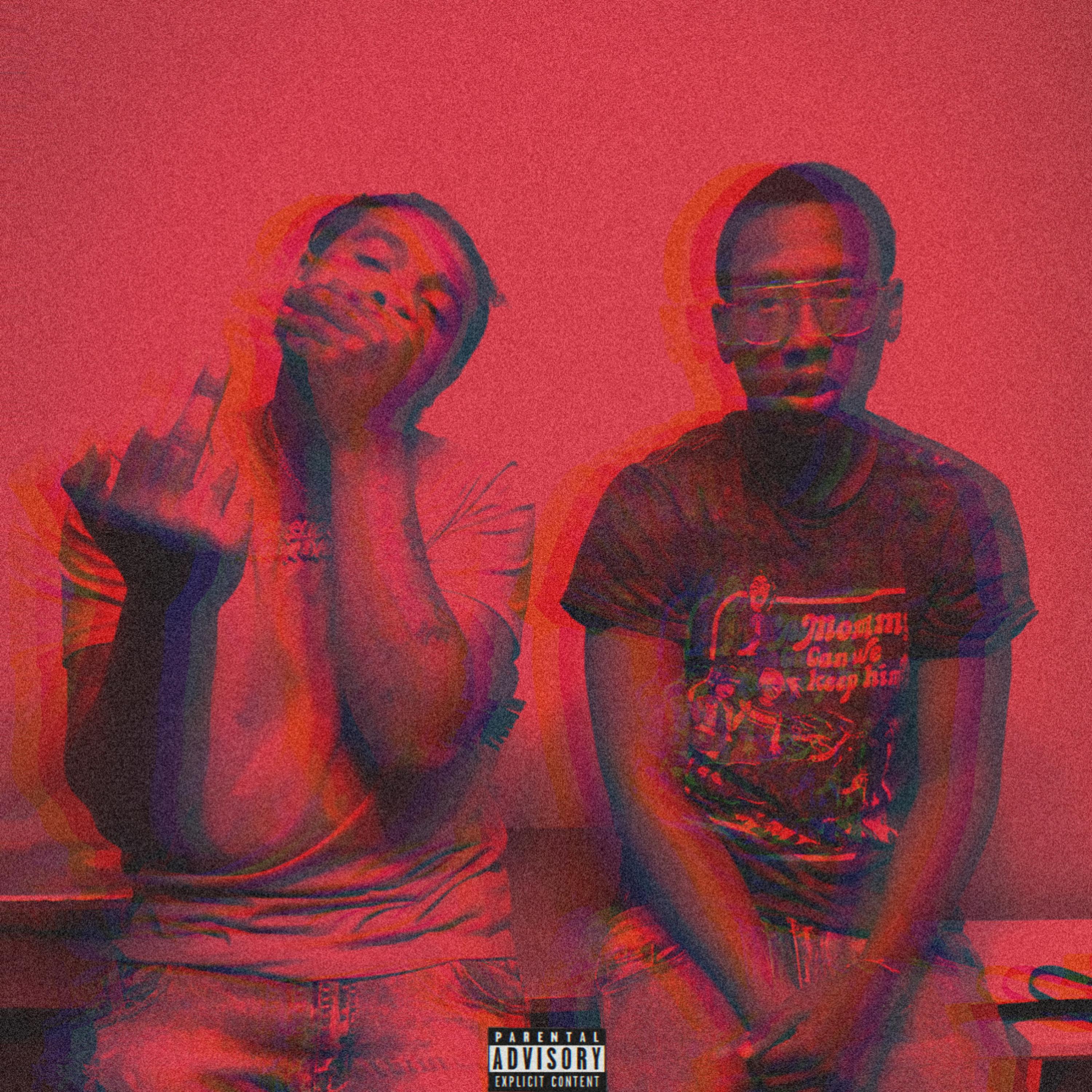 Flaw artwork