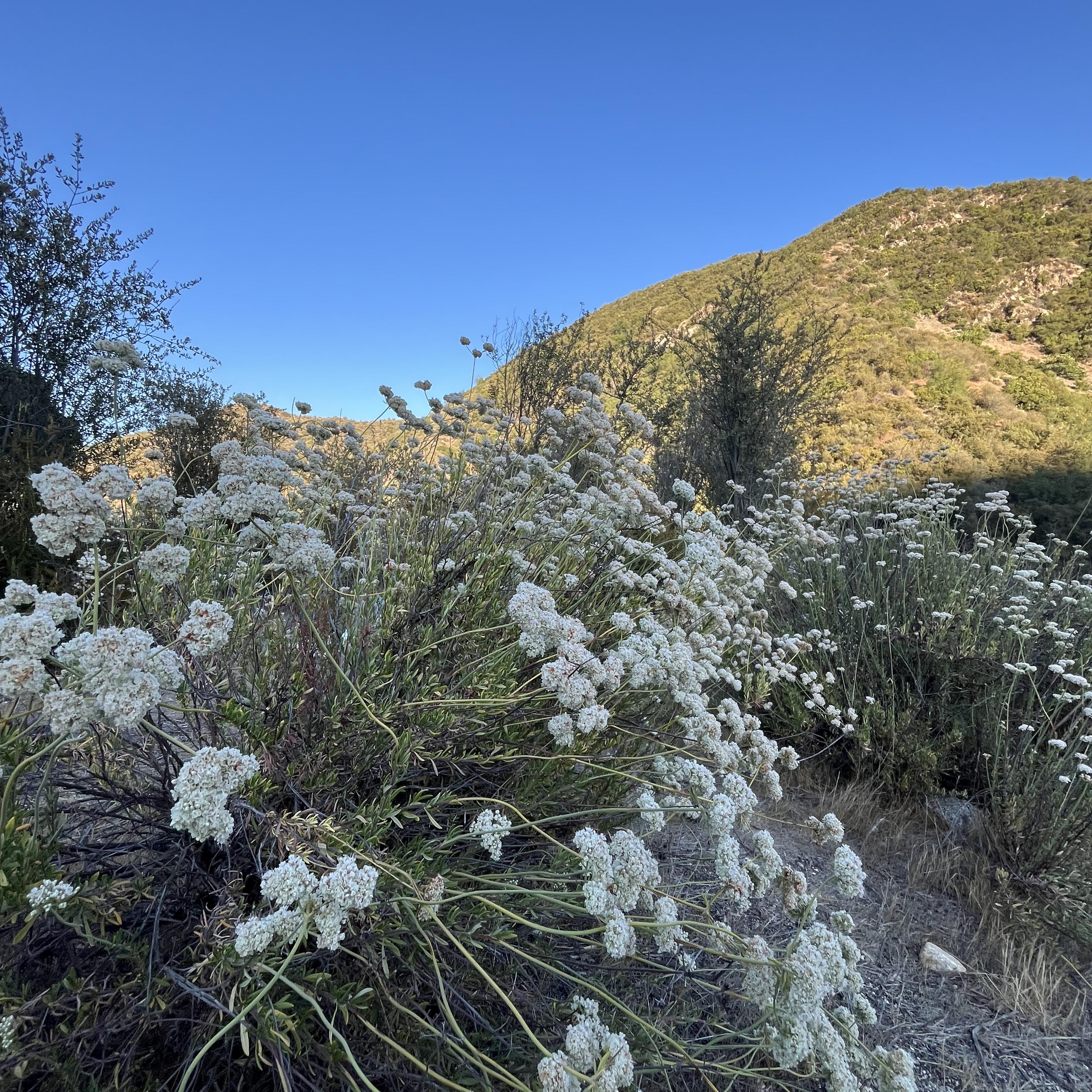 Feeling Right artwork