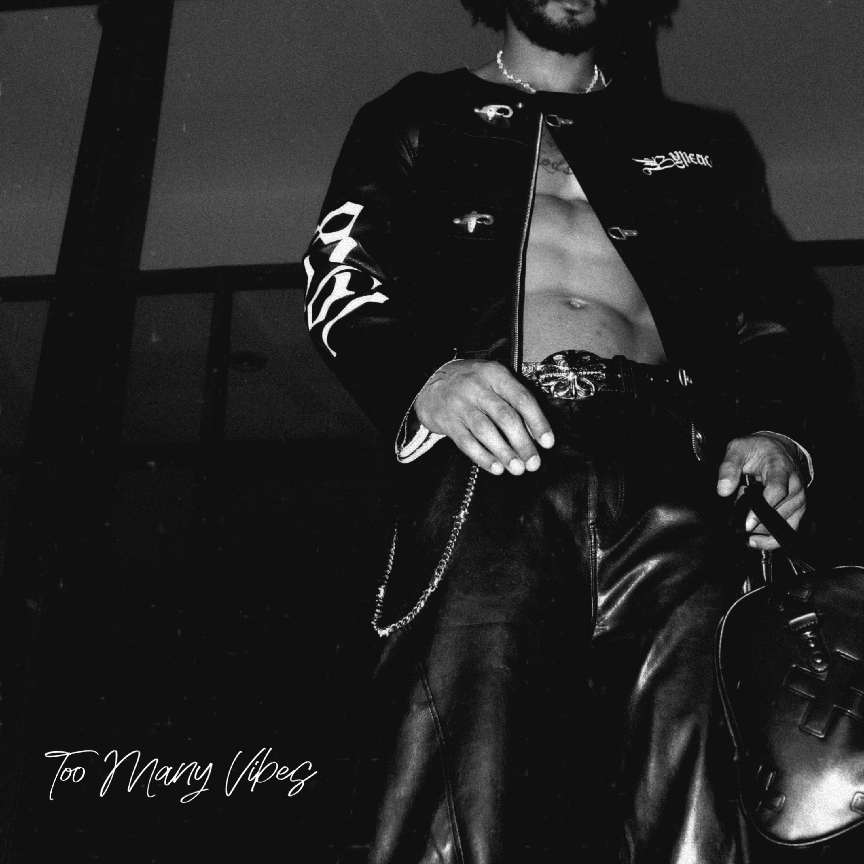 Too Many Vibes artwork