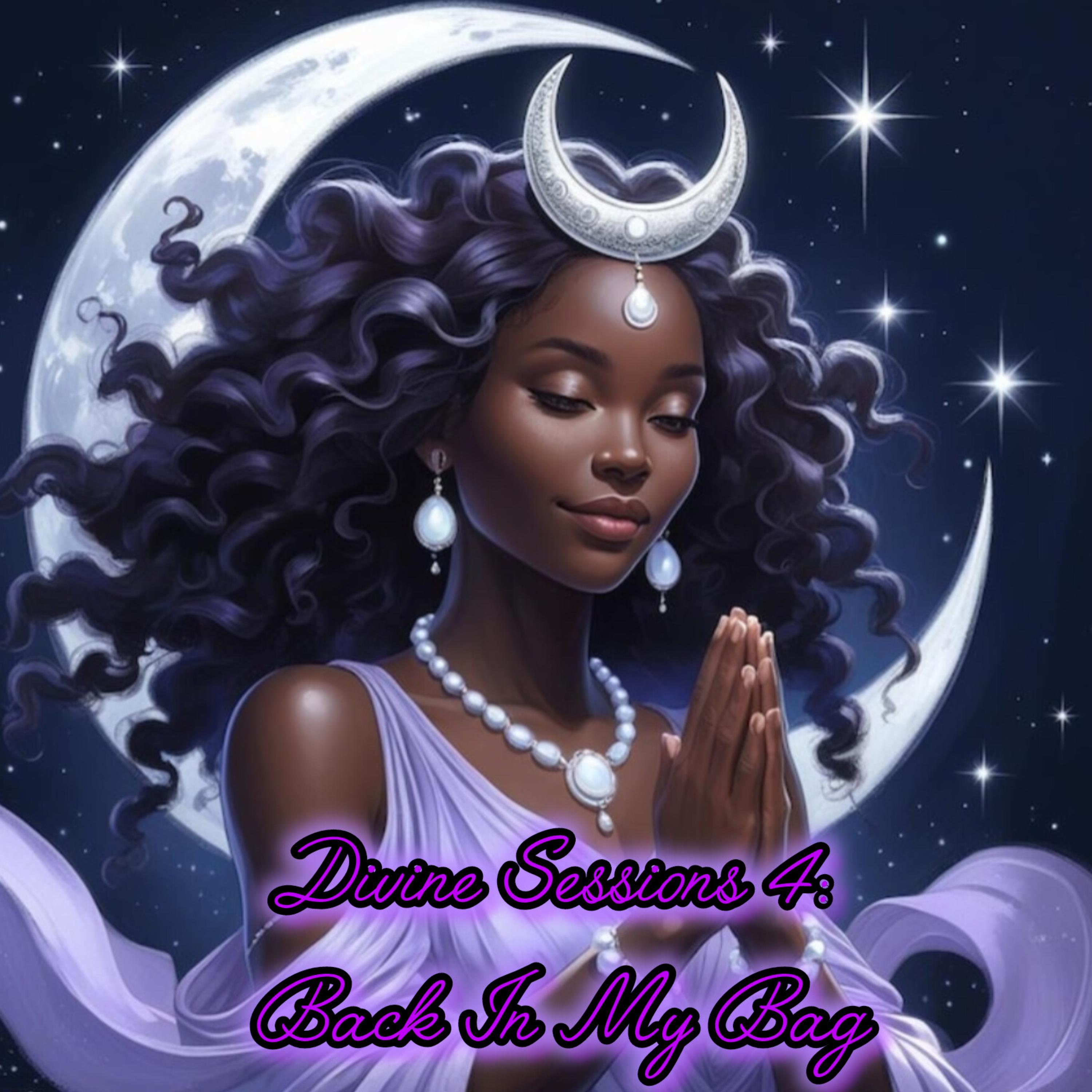Divine Sessions 4: Back In My Bag artwork
