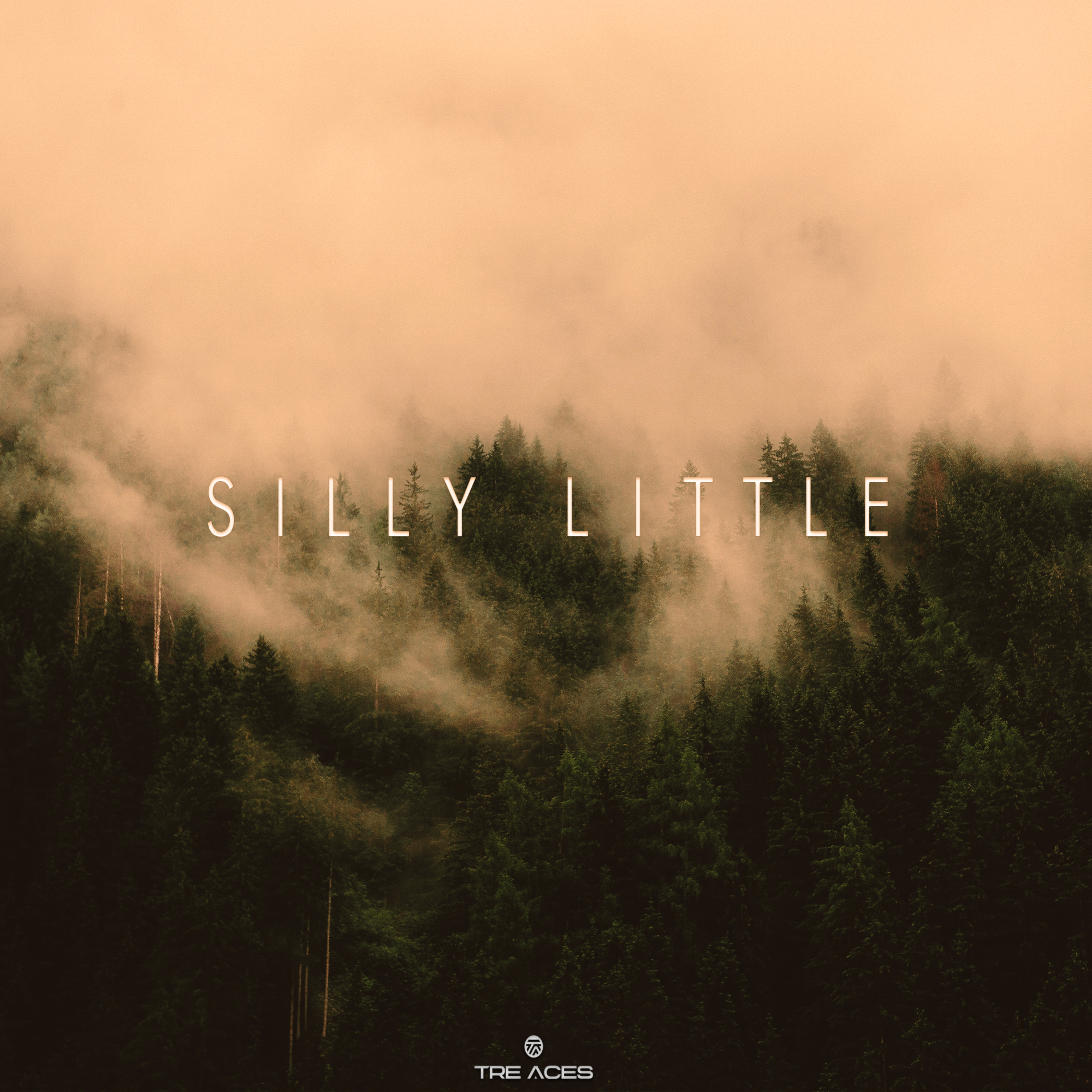 Silly Little artwork