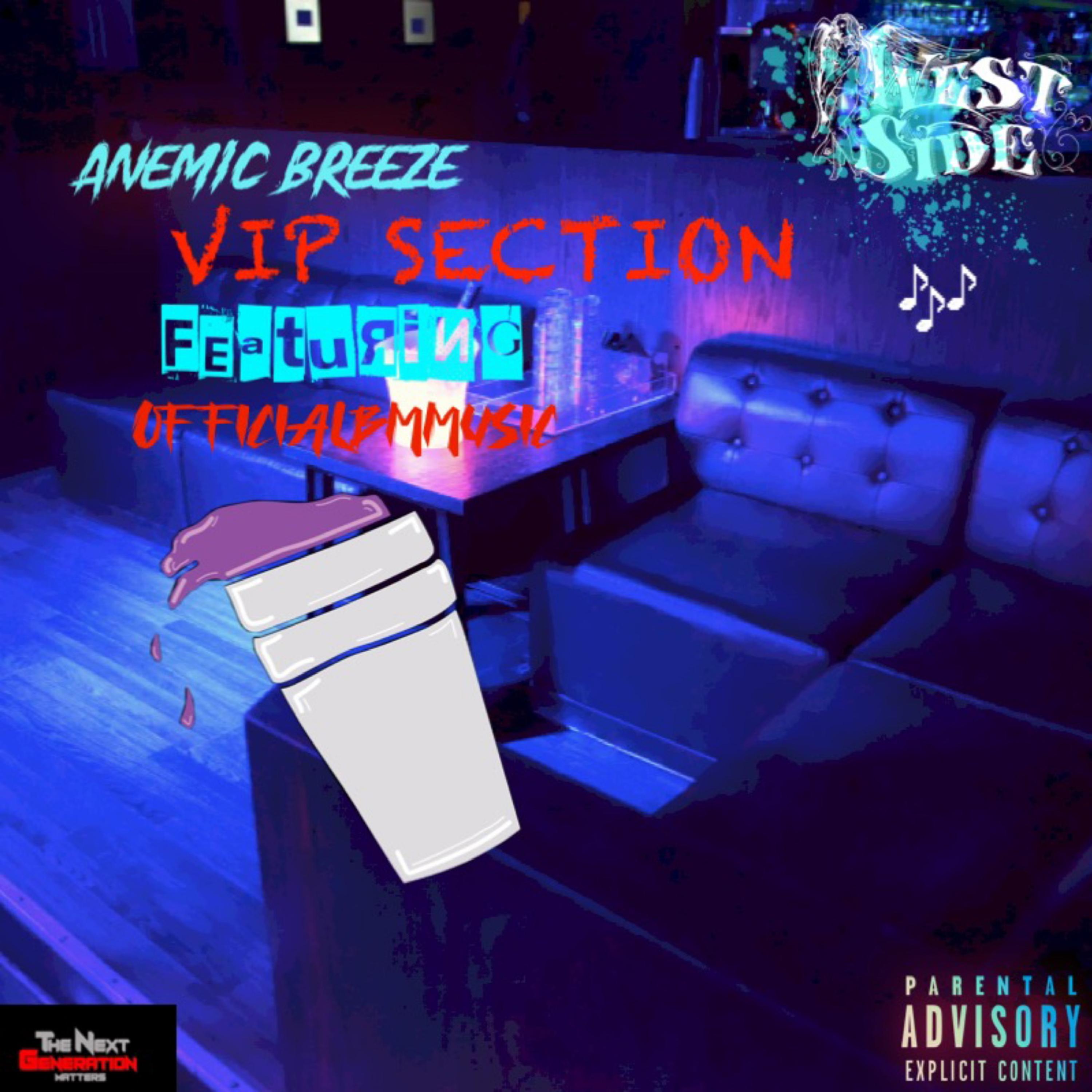 V.I.P Section artwork