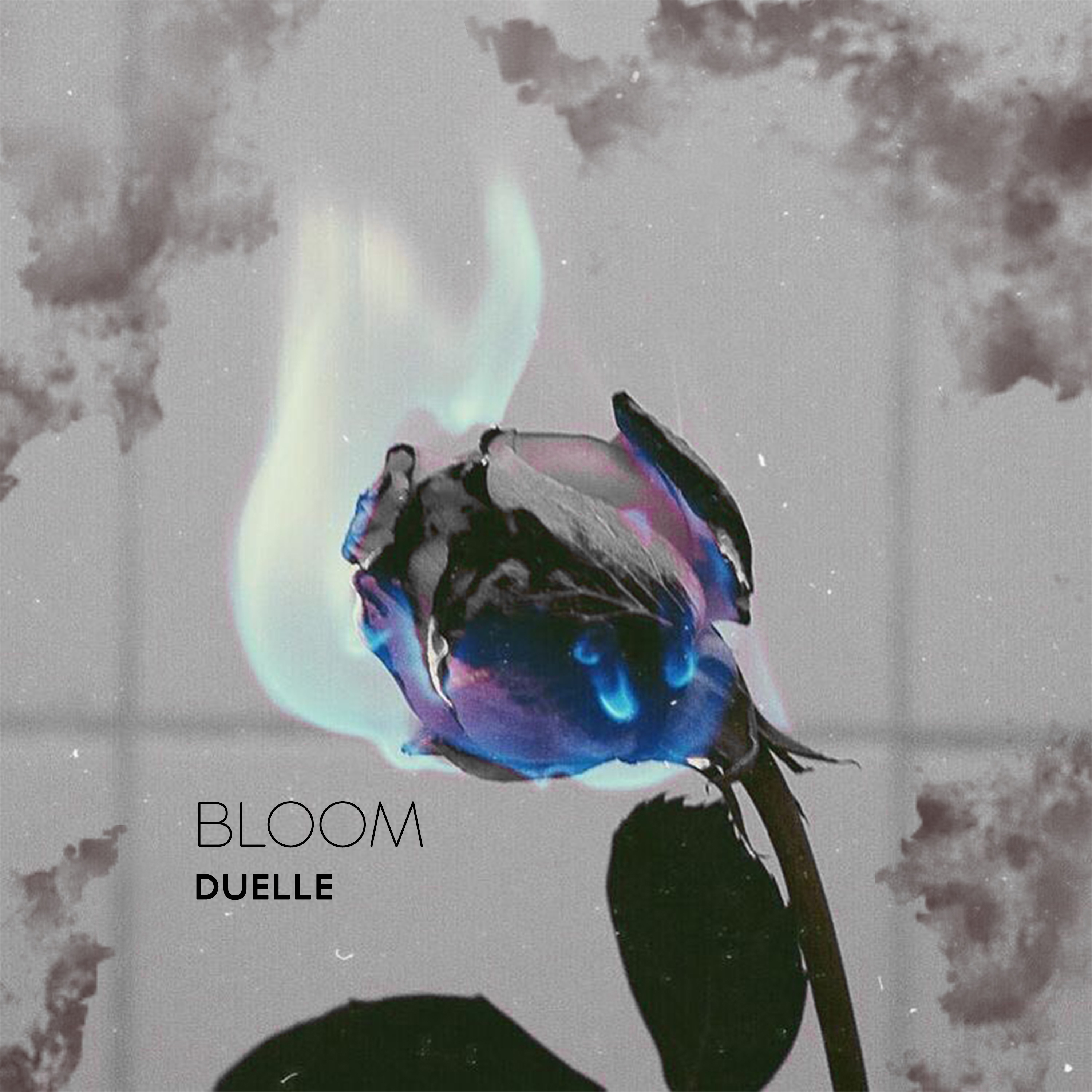 BLOOM artwork