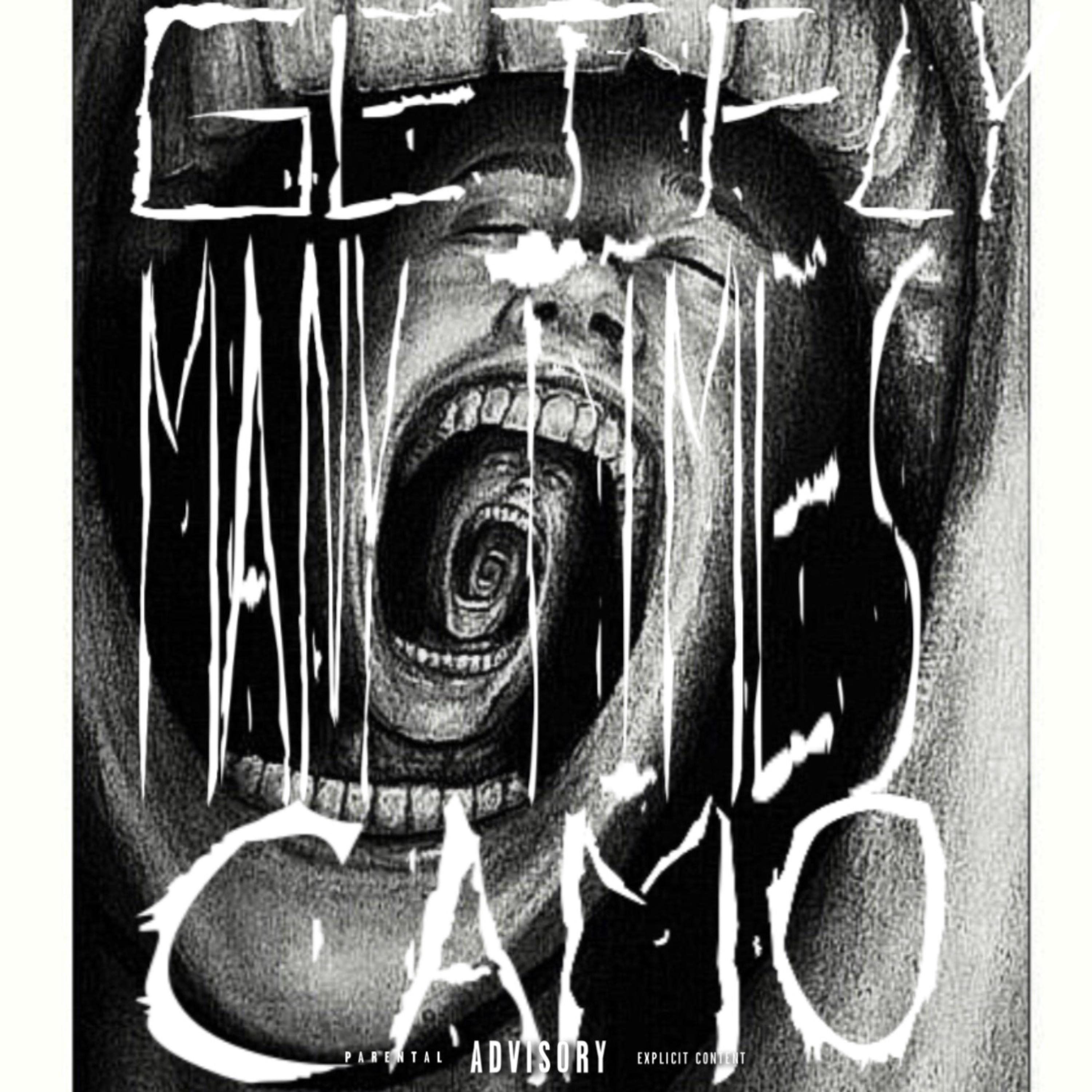 MANY TIMES artwork