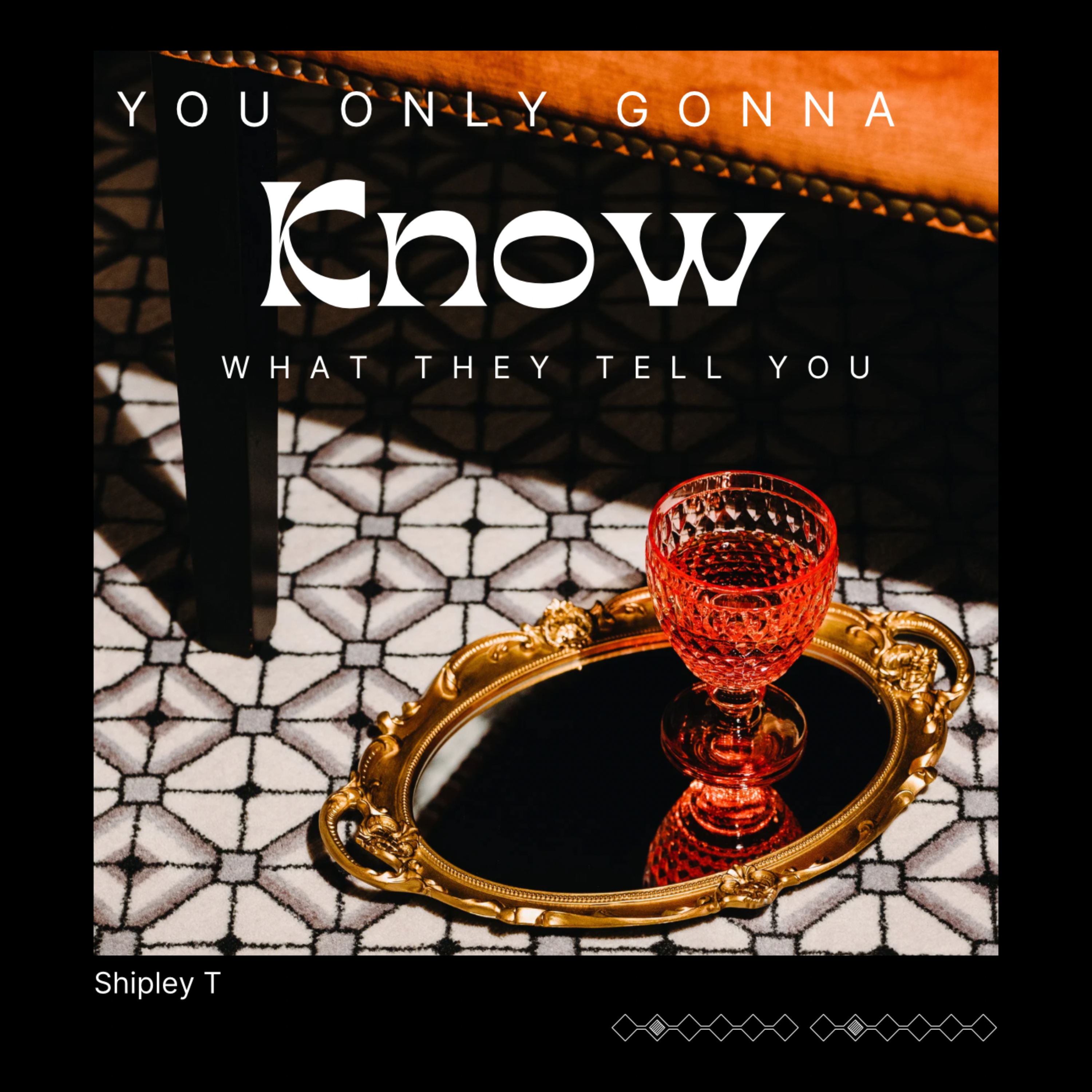 You Only Gonna Know What They Tell You artwork