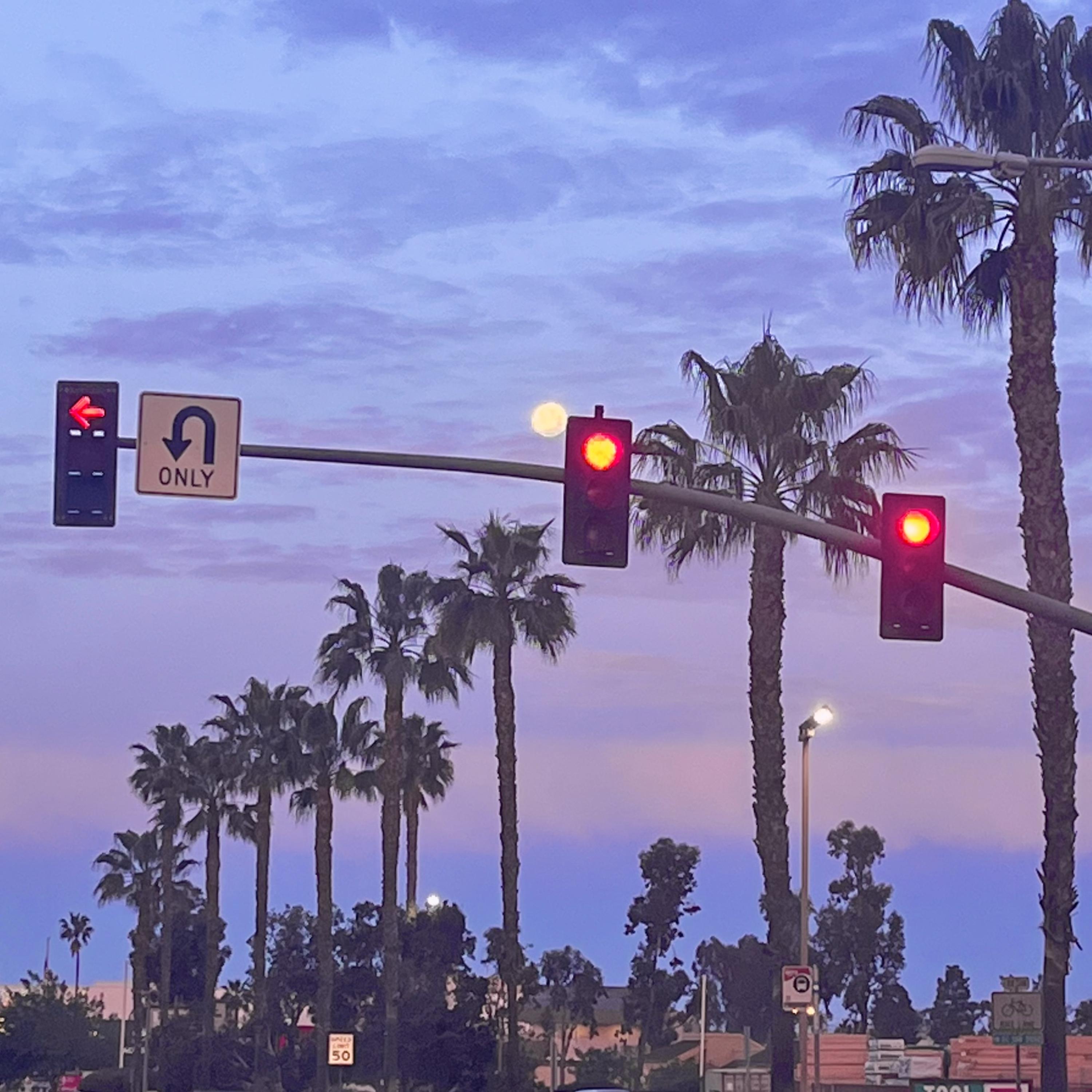 lose control artwork