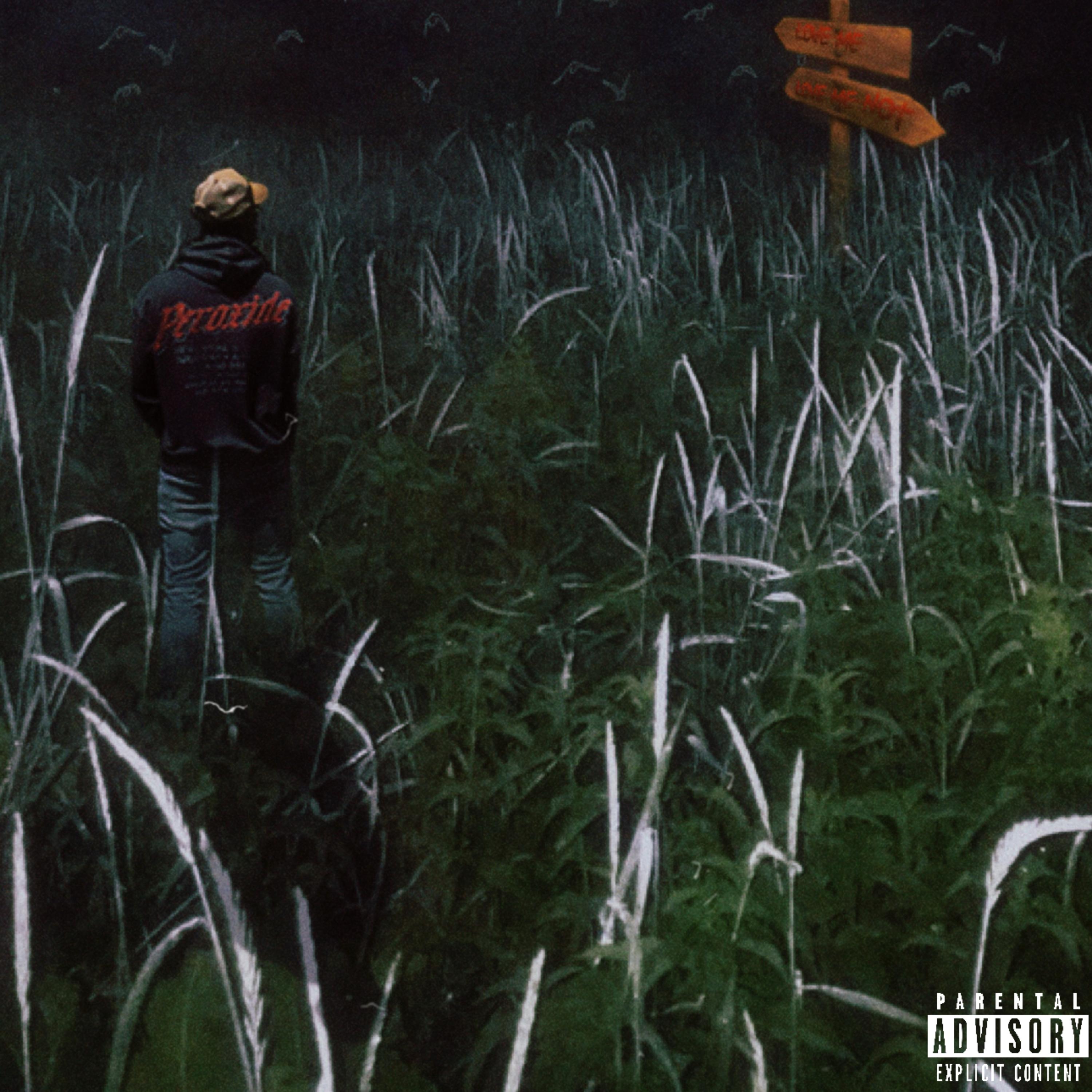 LOW artwork