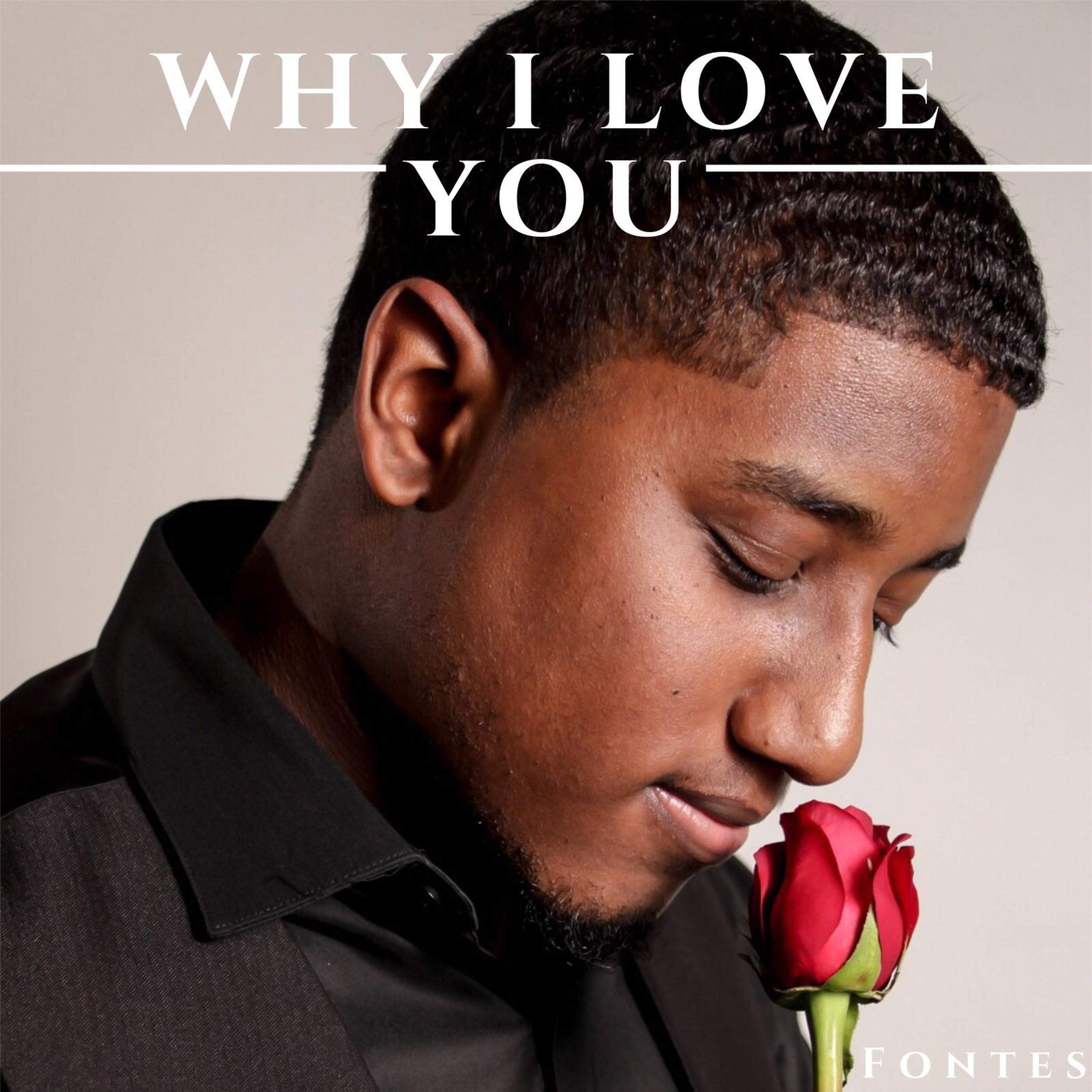 Why I Love You artwork