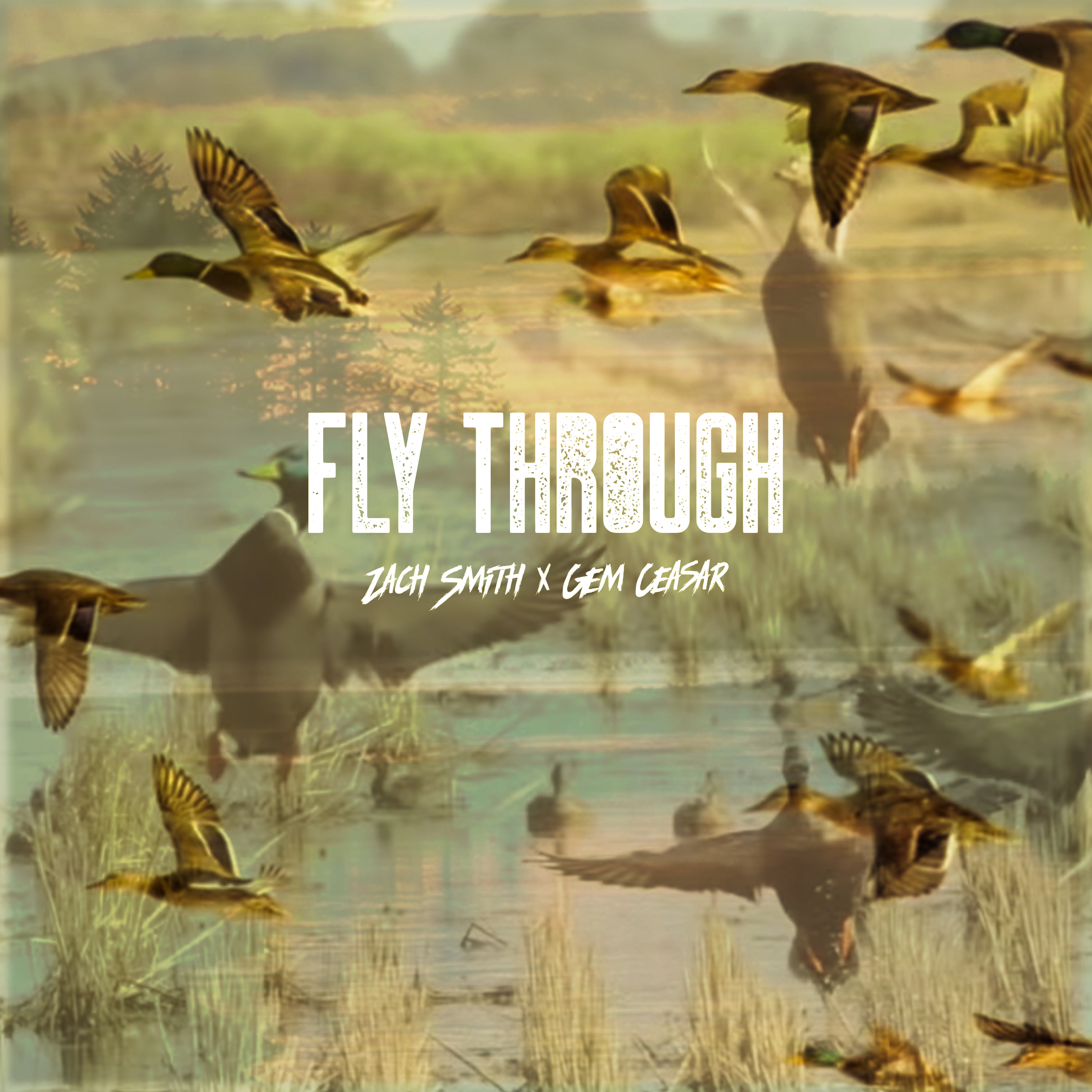 Fly Through artwork