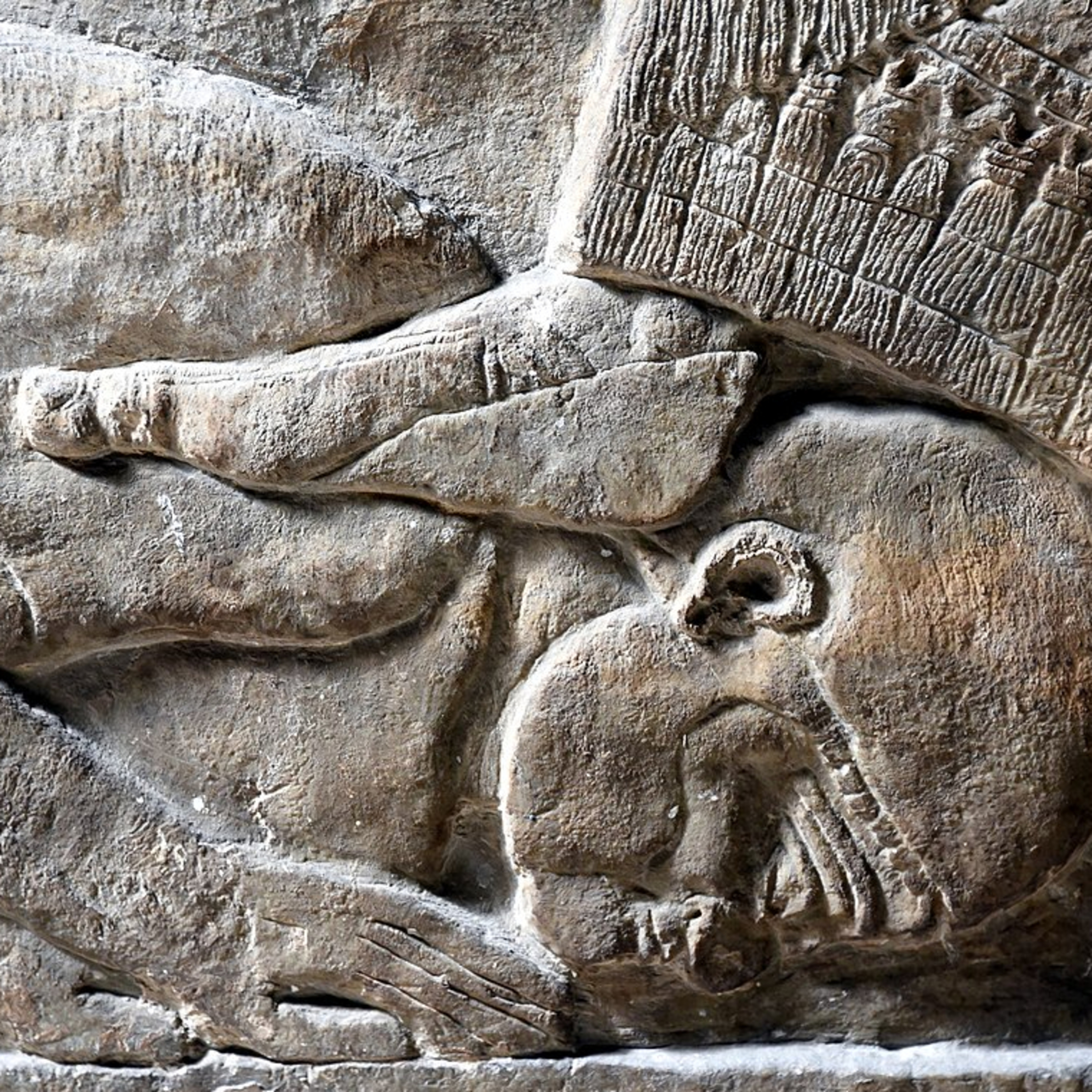 Foot On They Neck artwork