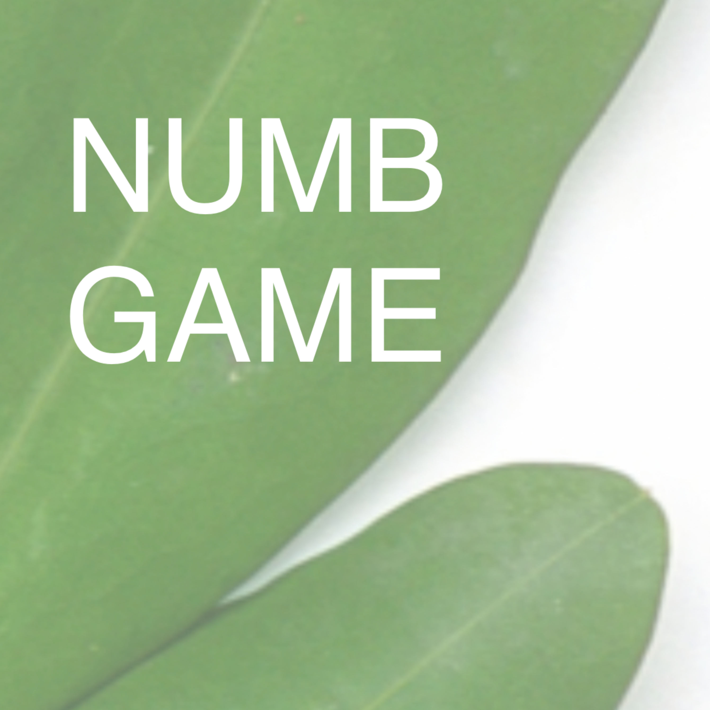 NUMB Game artwork