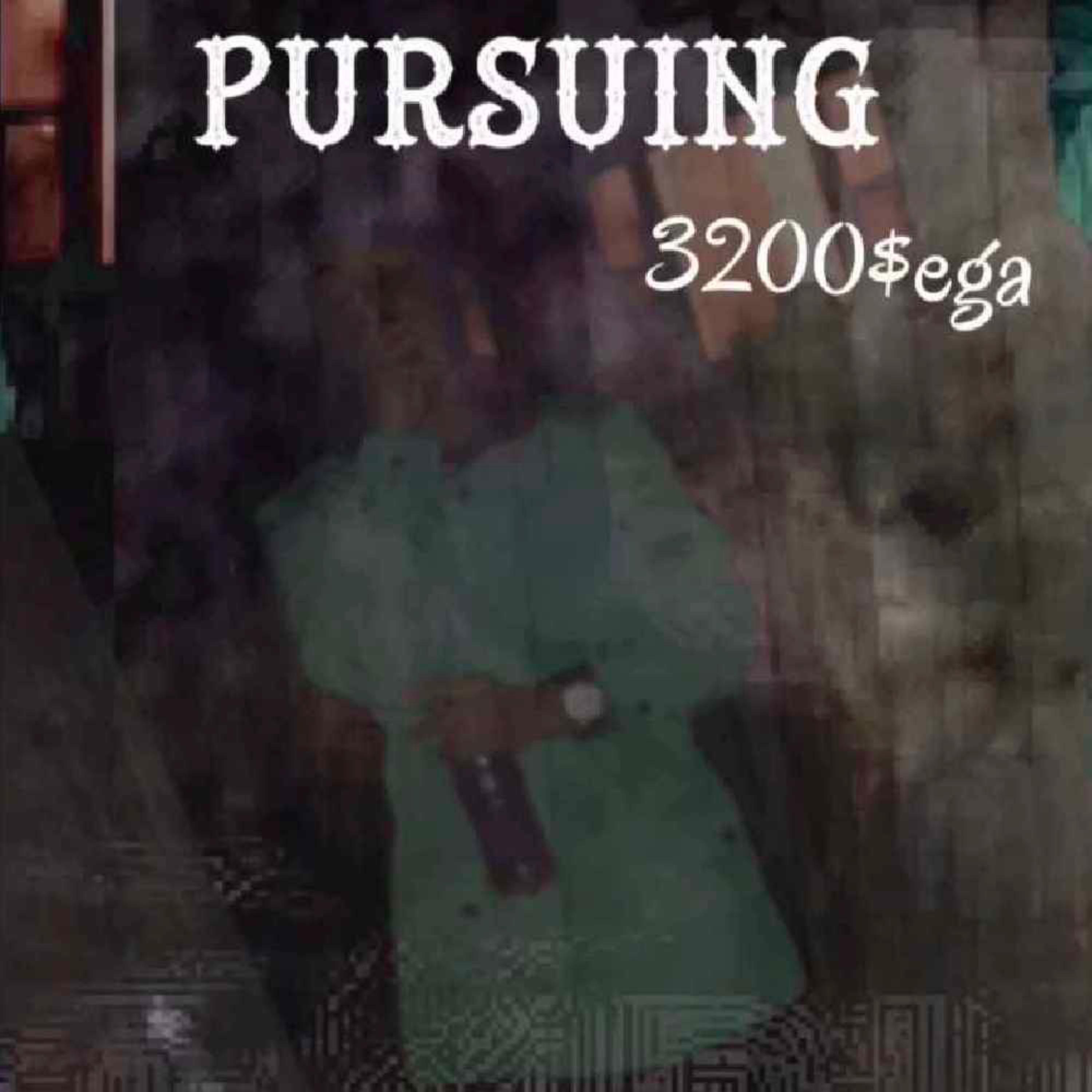 Pursuing artwork