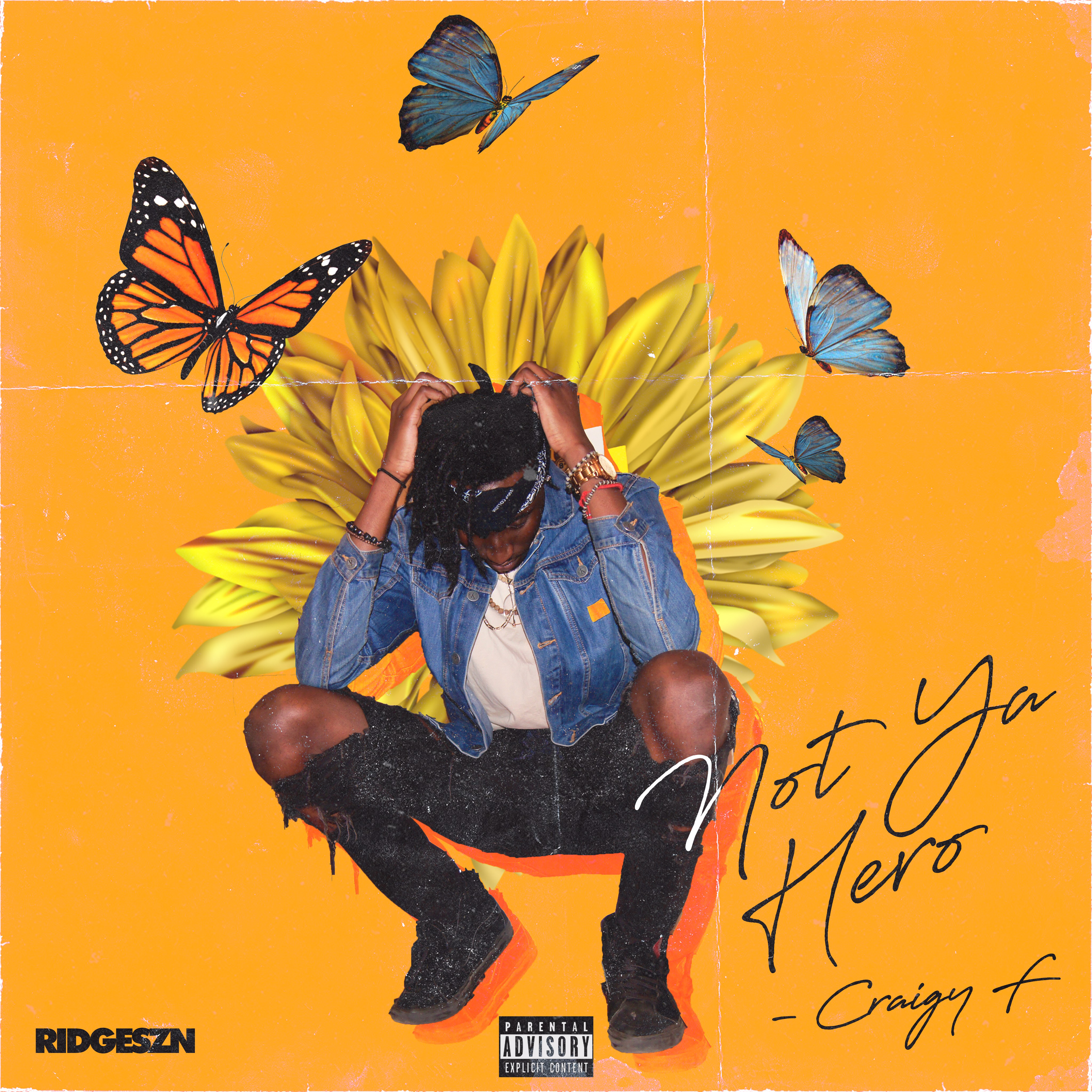 Not Ya Hero artwork