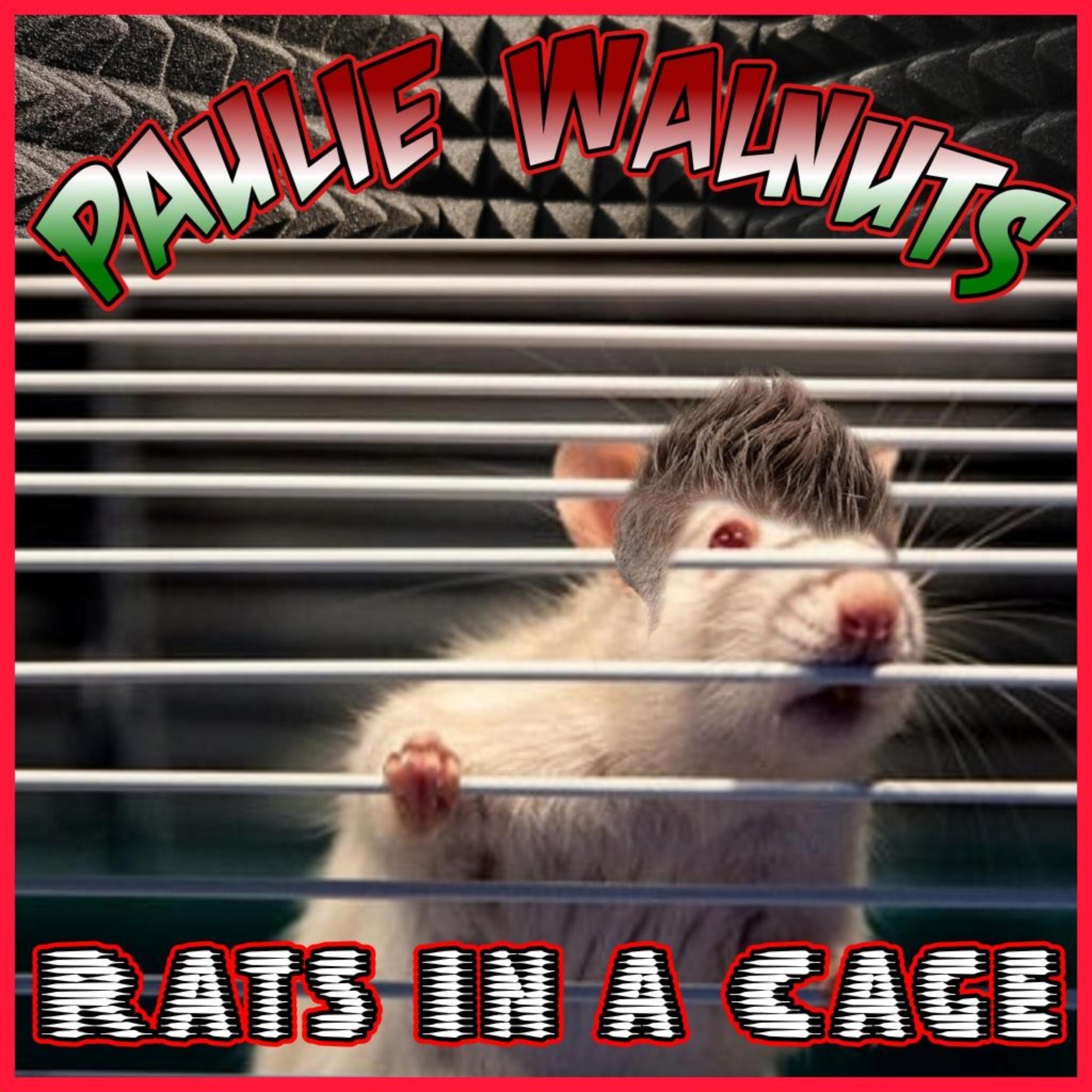 Rats In cages artwork