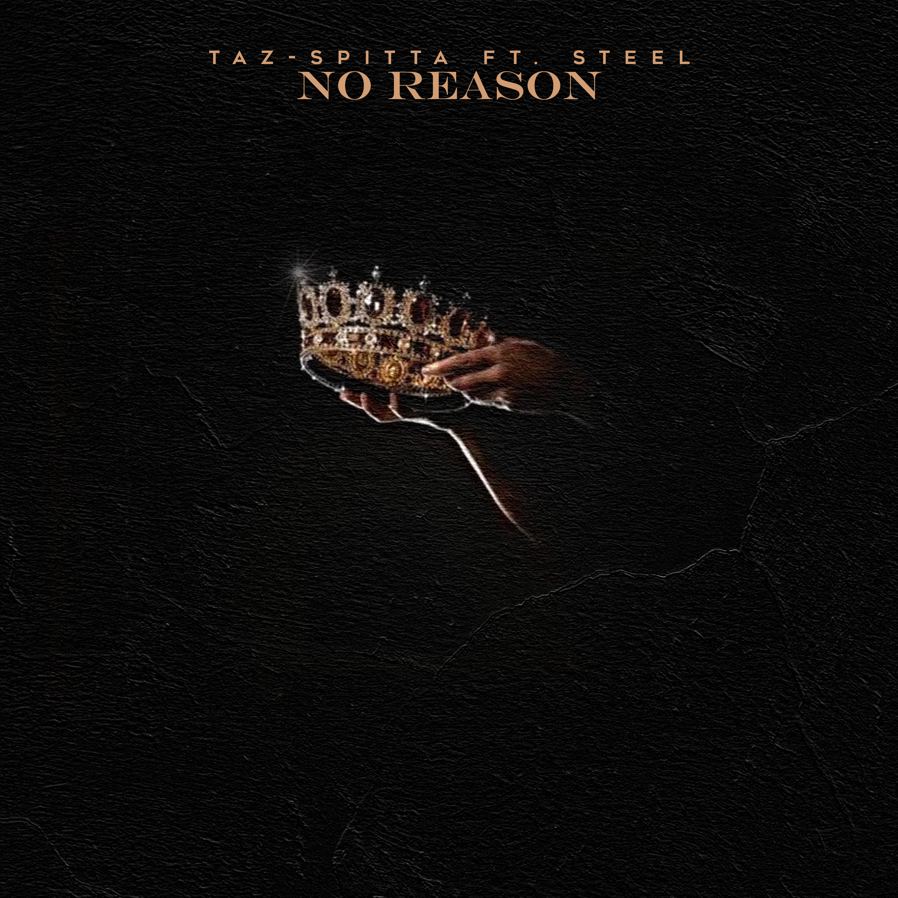 No Reason by Tazspitta cover art