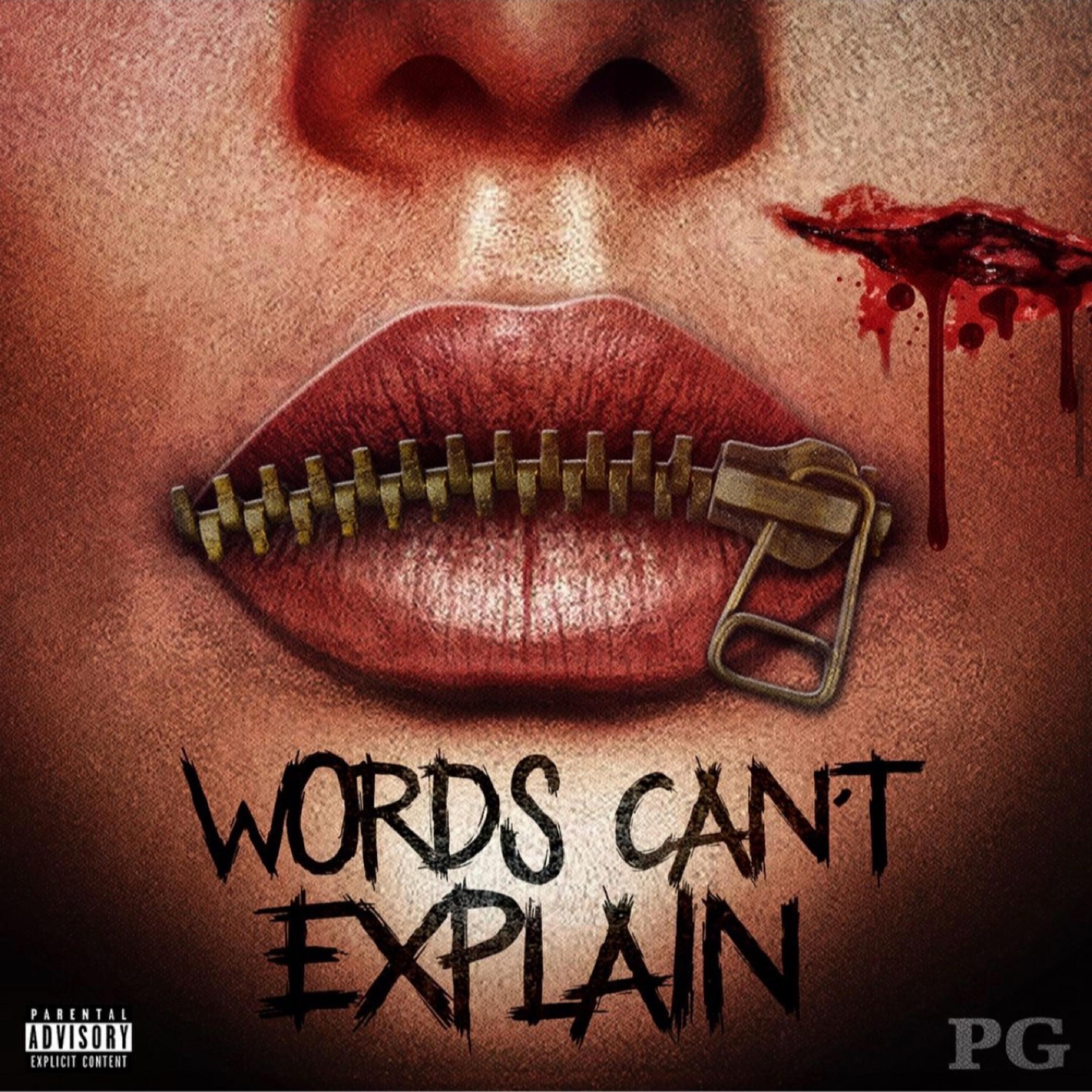Words Can't Explain artwork