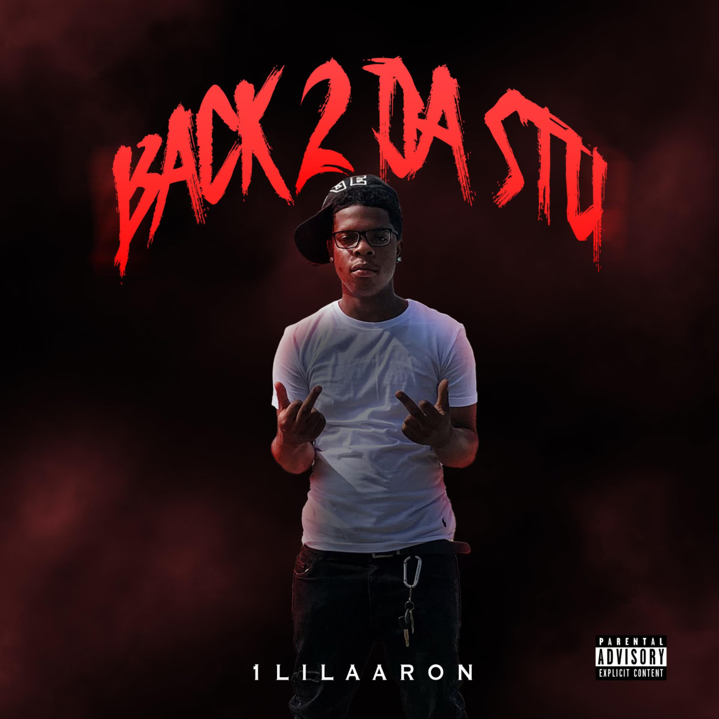 Back 2 Da Stu artwork