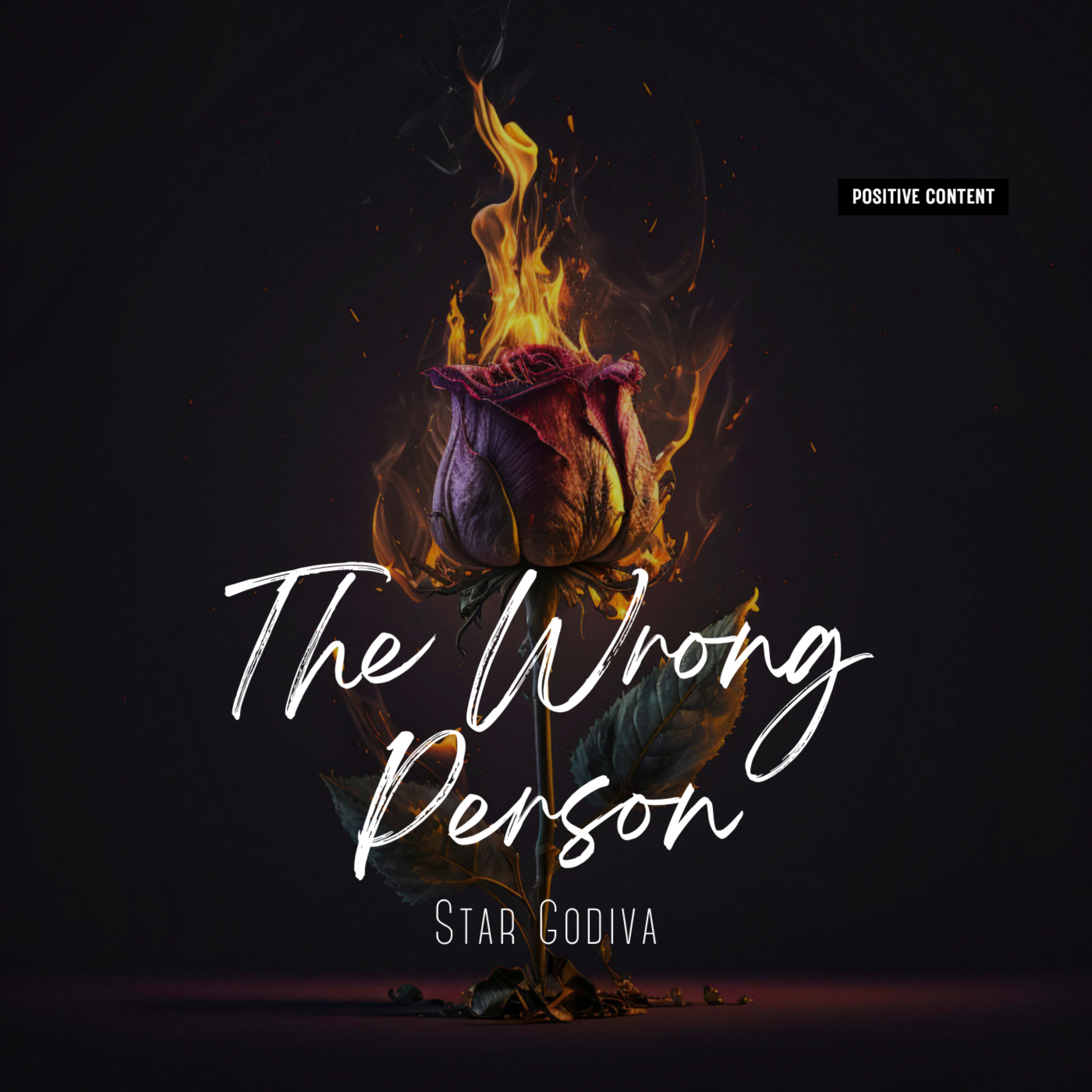 The Wrong Person artwork