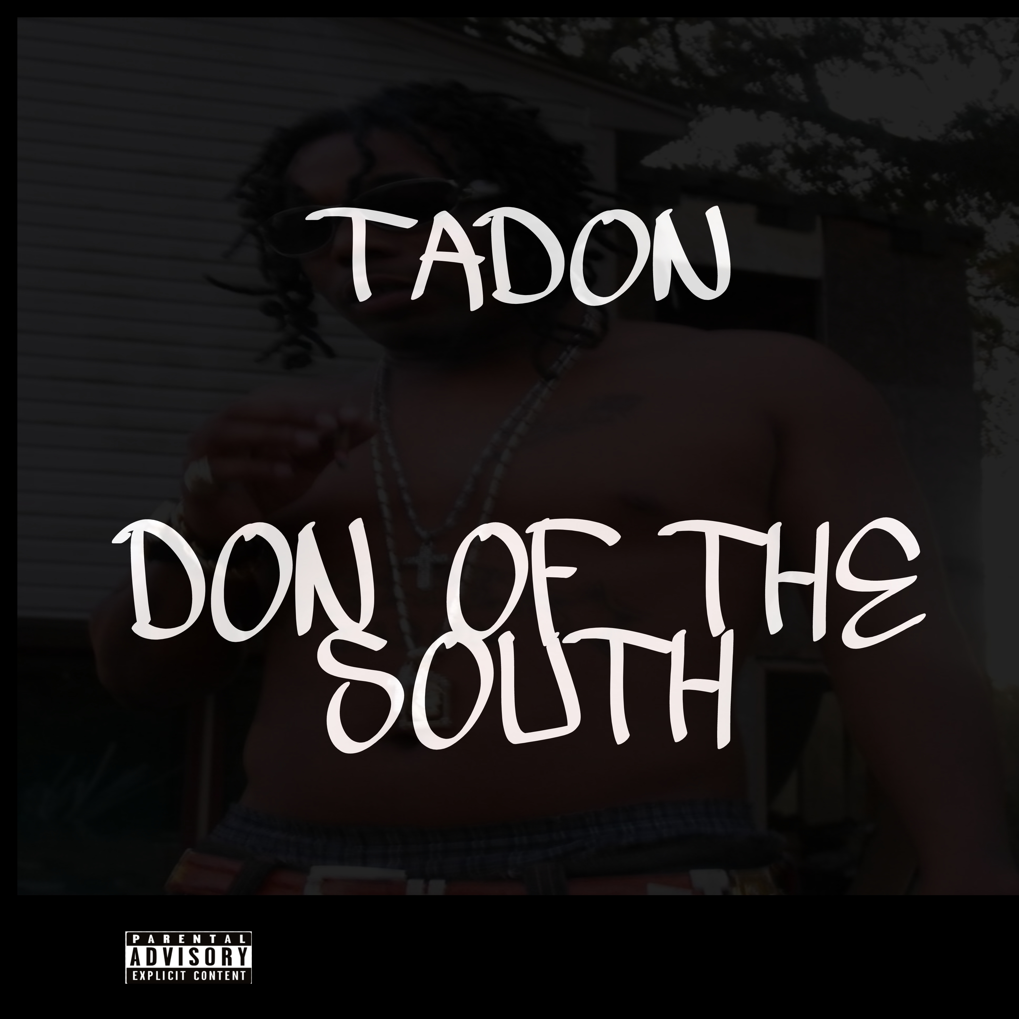 Don Of Da South artwork