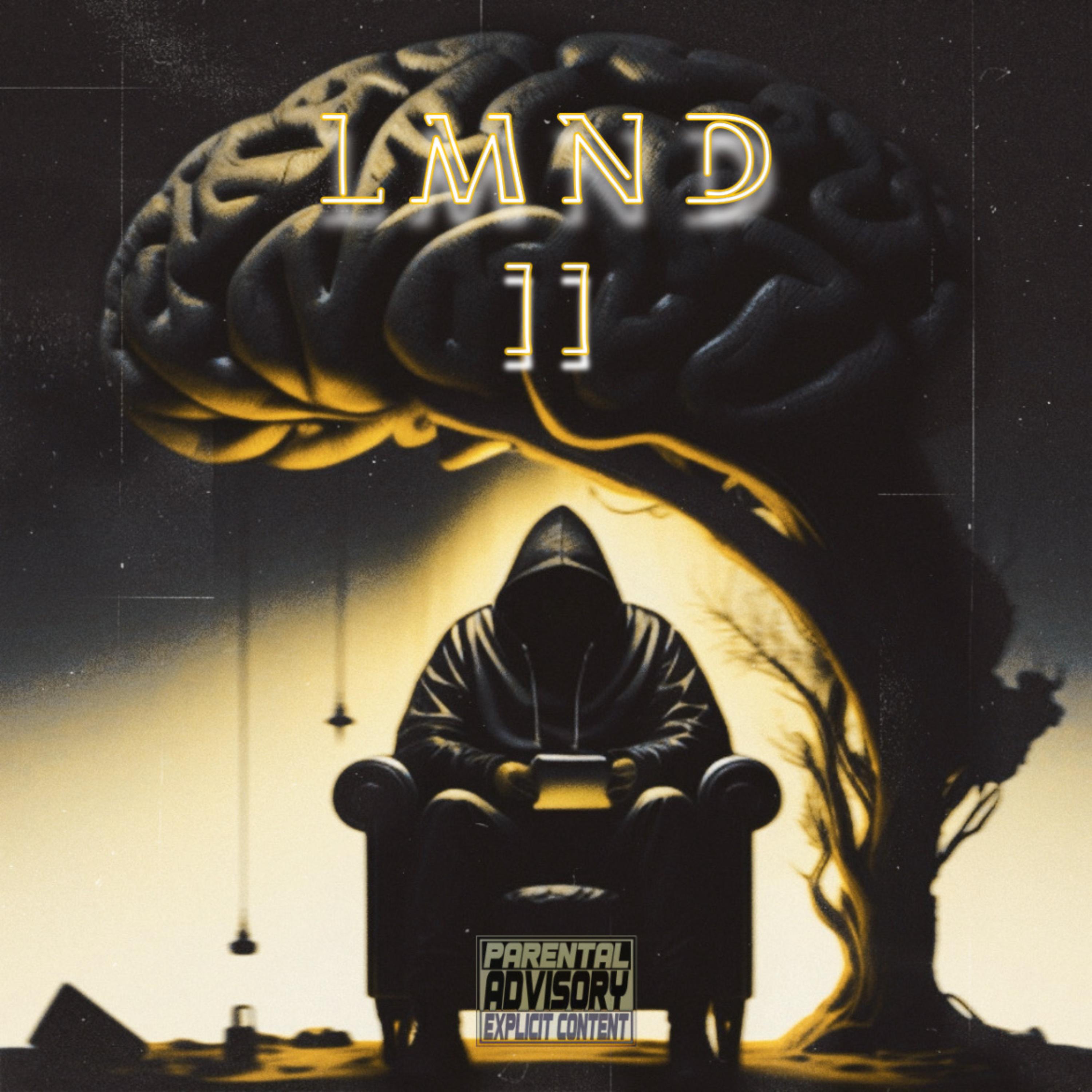LMND II artwork