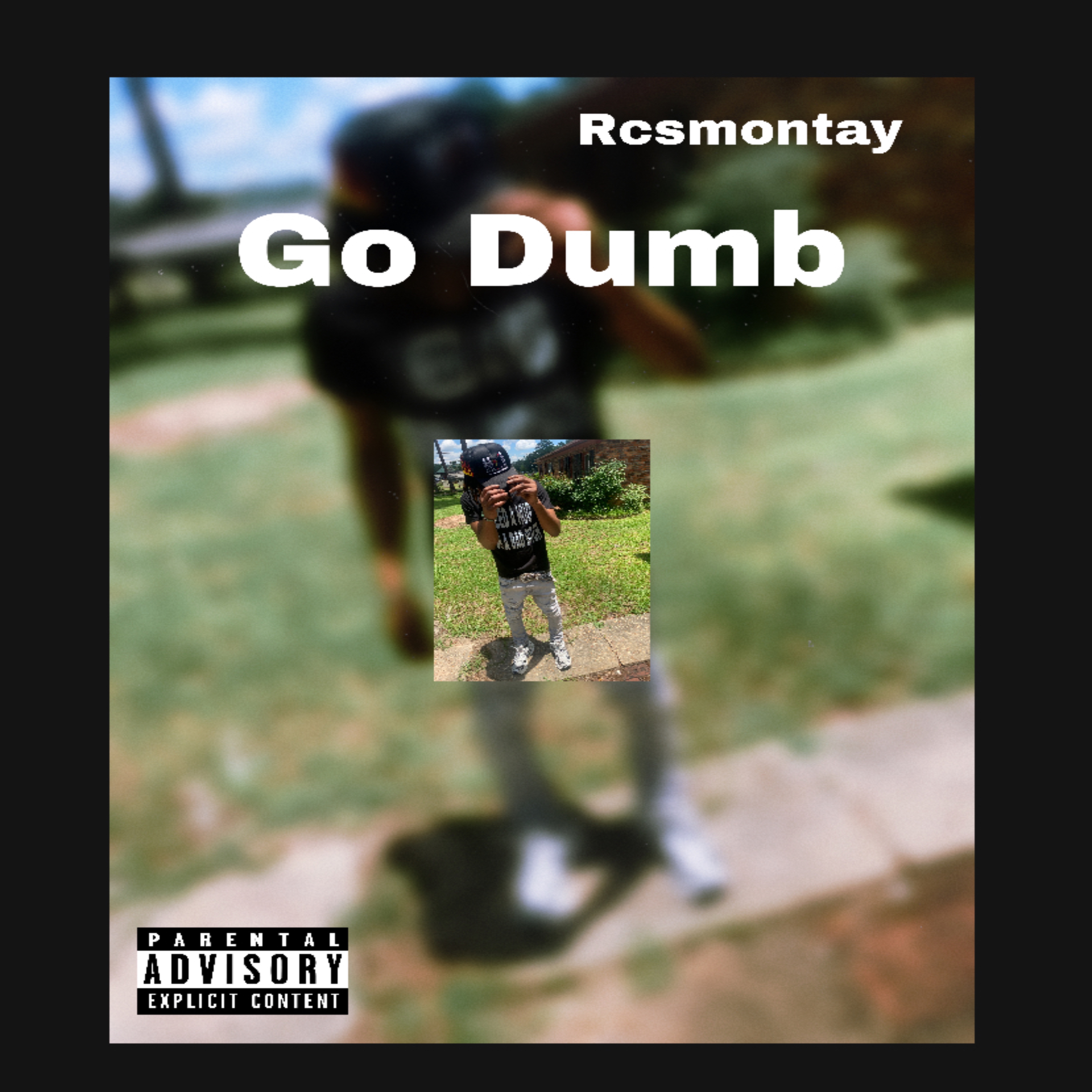 Go Dumb artwork