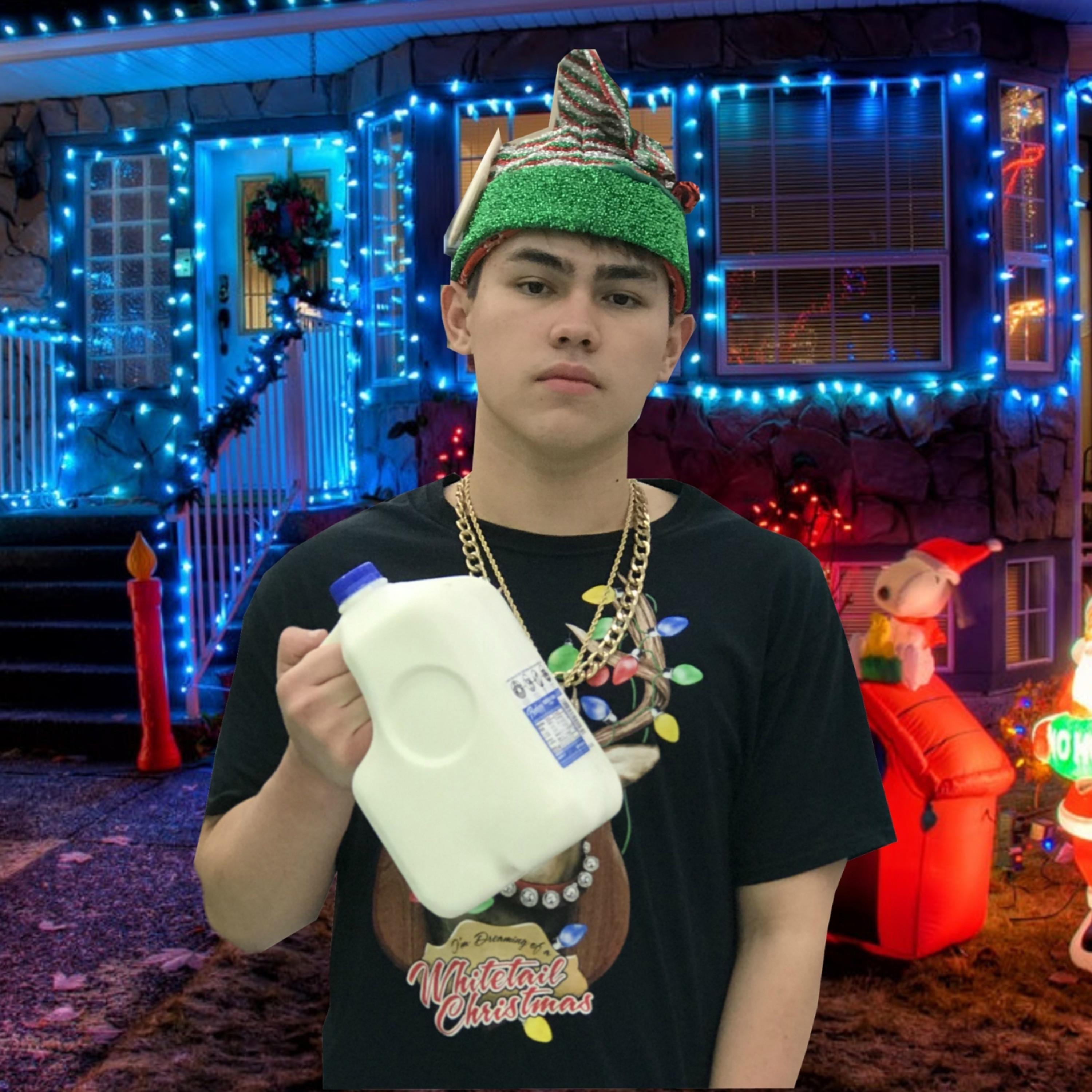 Merry Christmas Bitch by P. Louie cover art