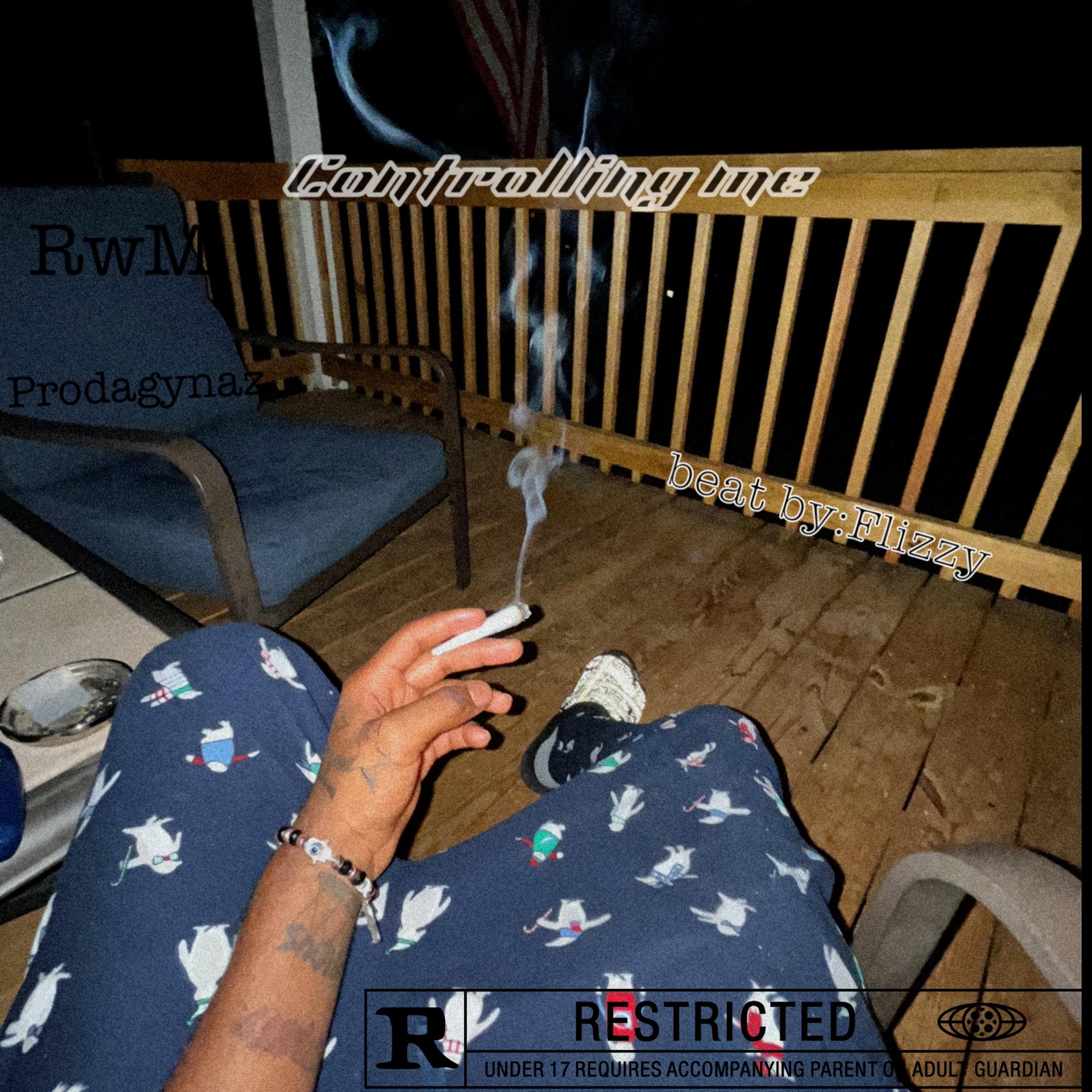 controlling me artwork
