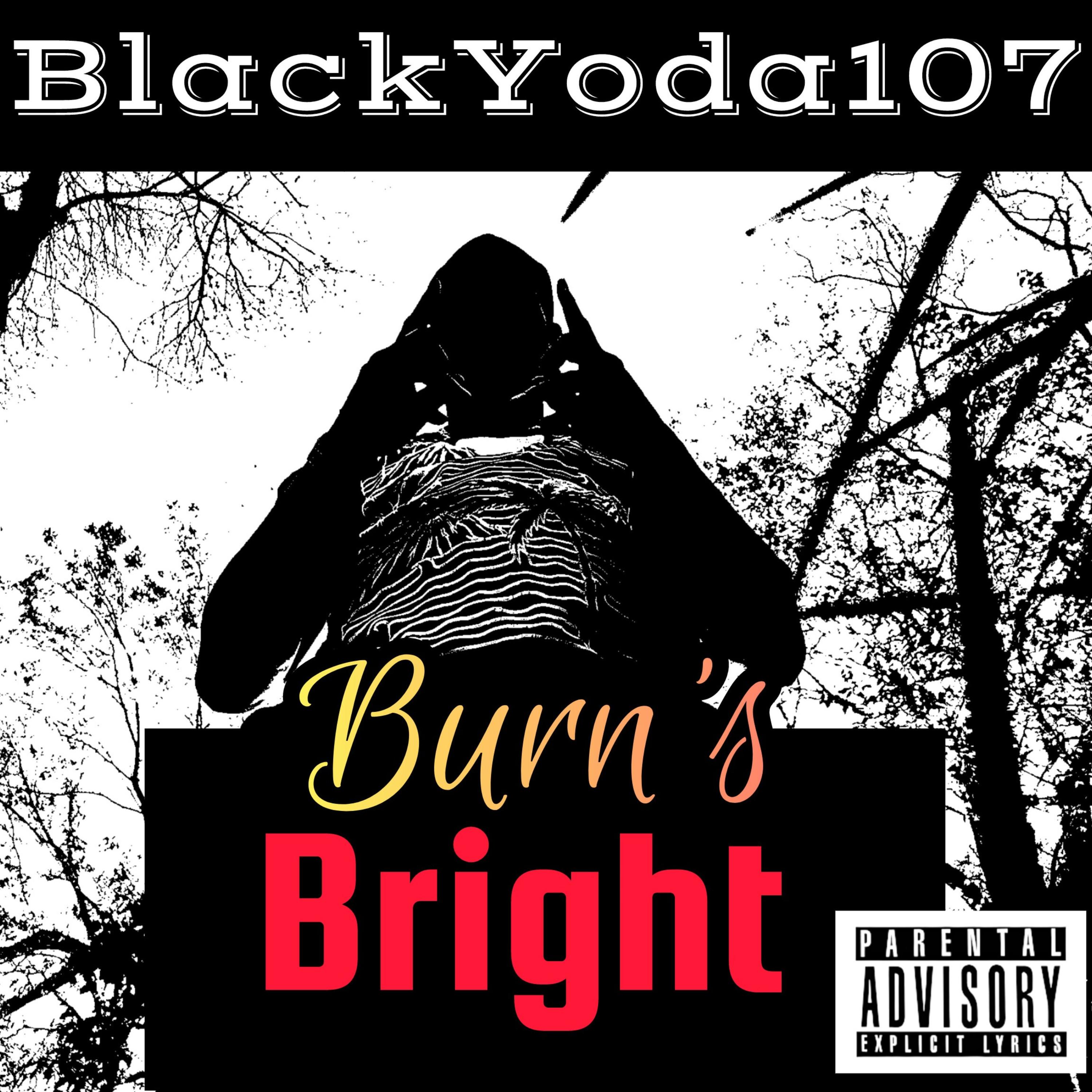 Burns Bright by BlackYoda107 cover art